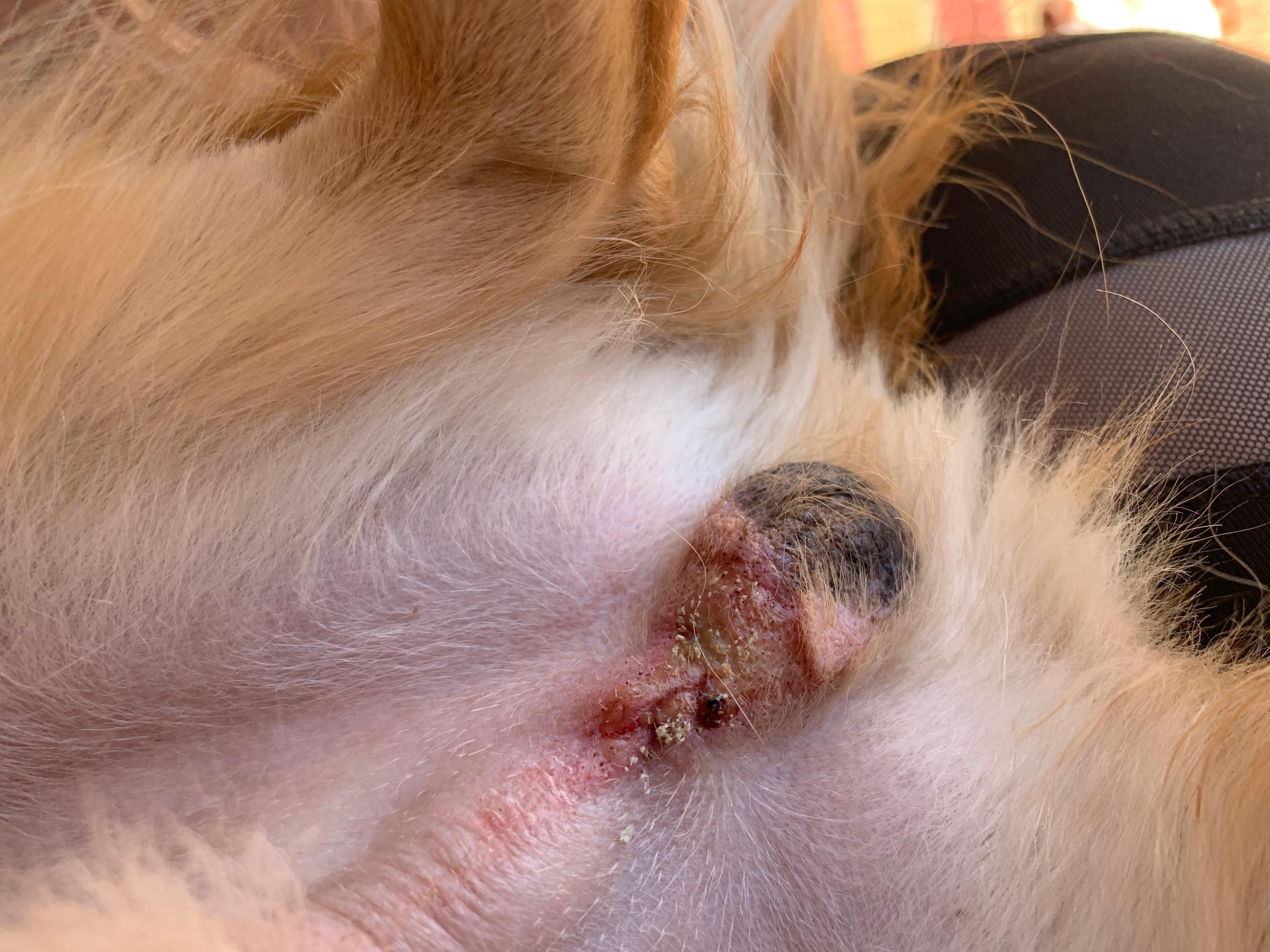 Question details sensitive content