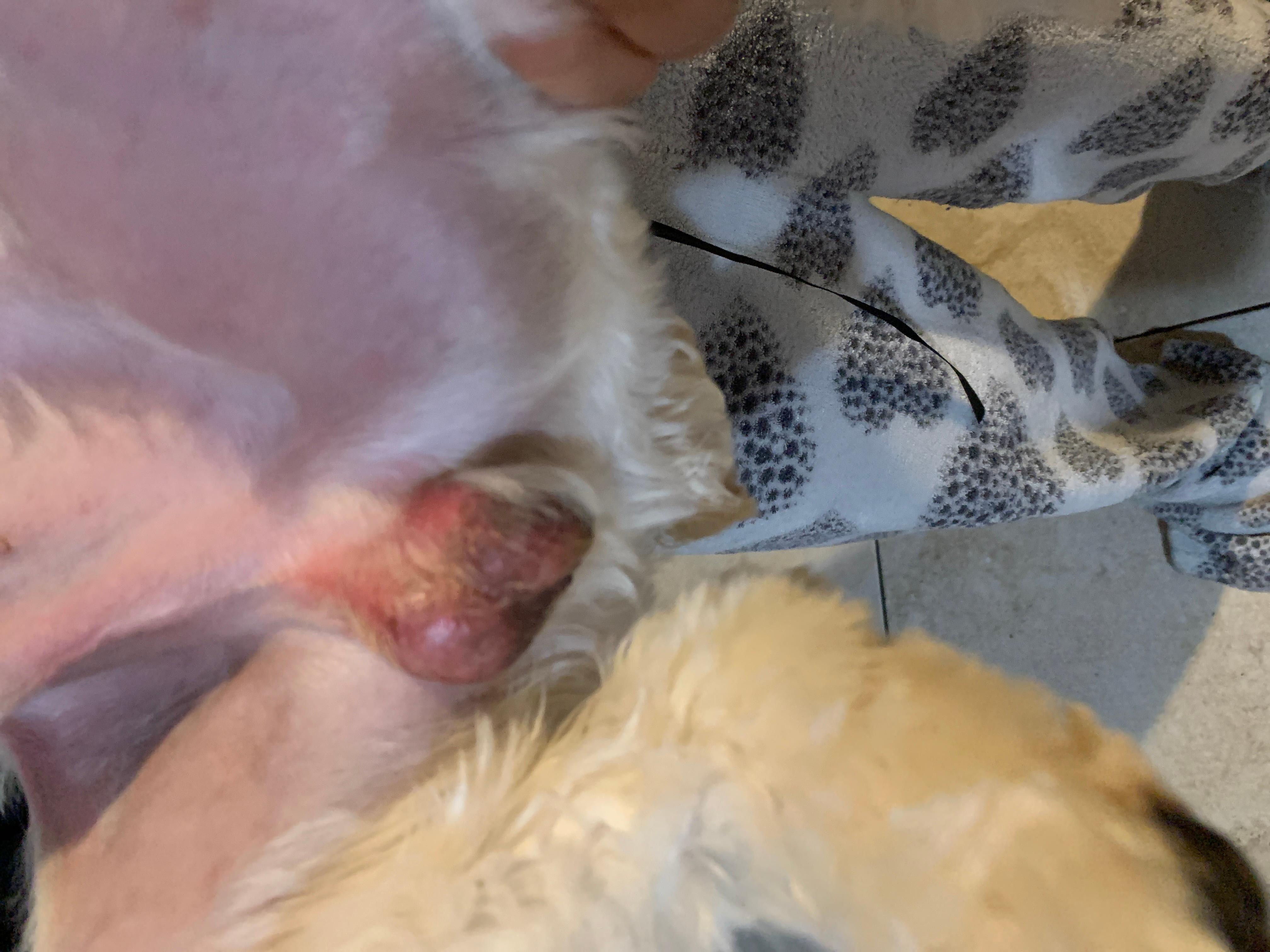 Question details sensitive content