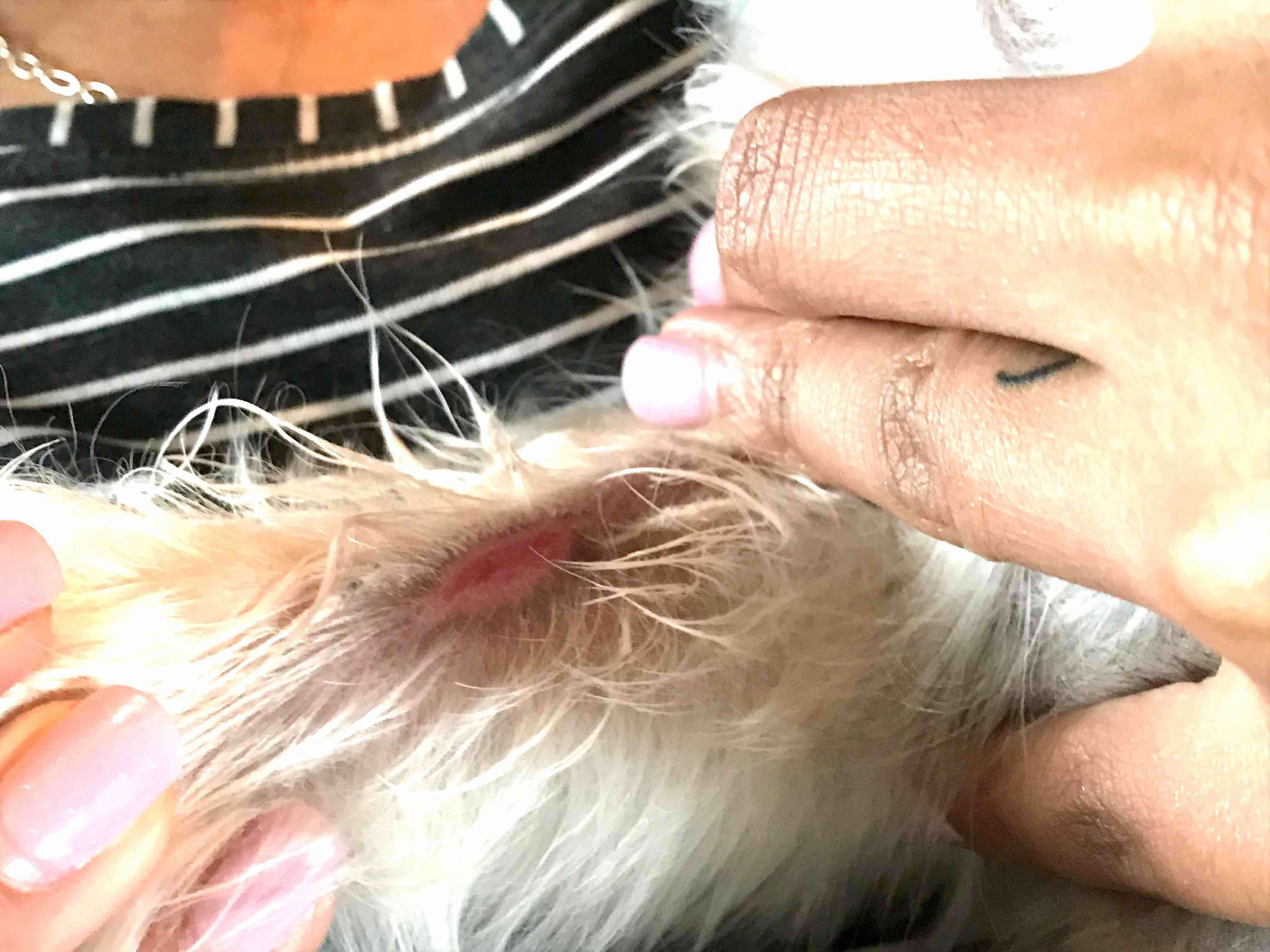 Question details sensitive content