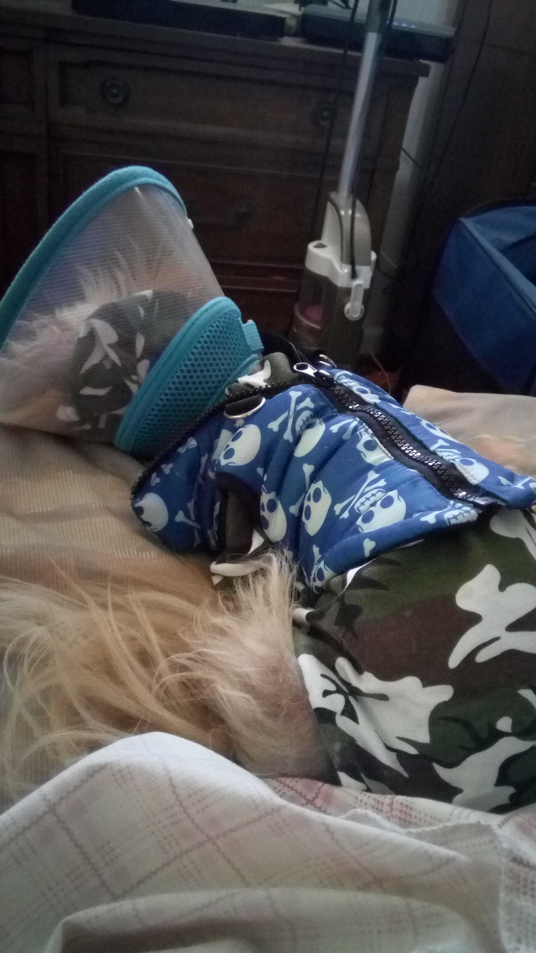 Question details sensitive content