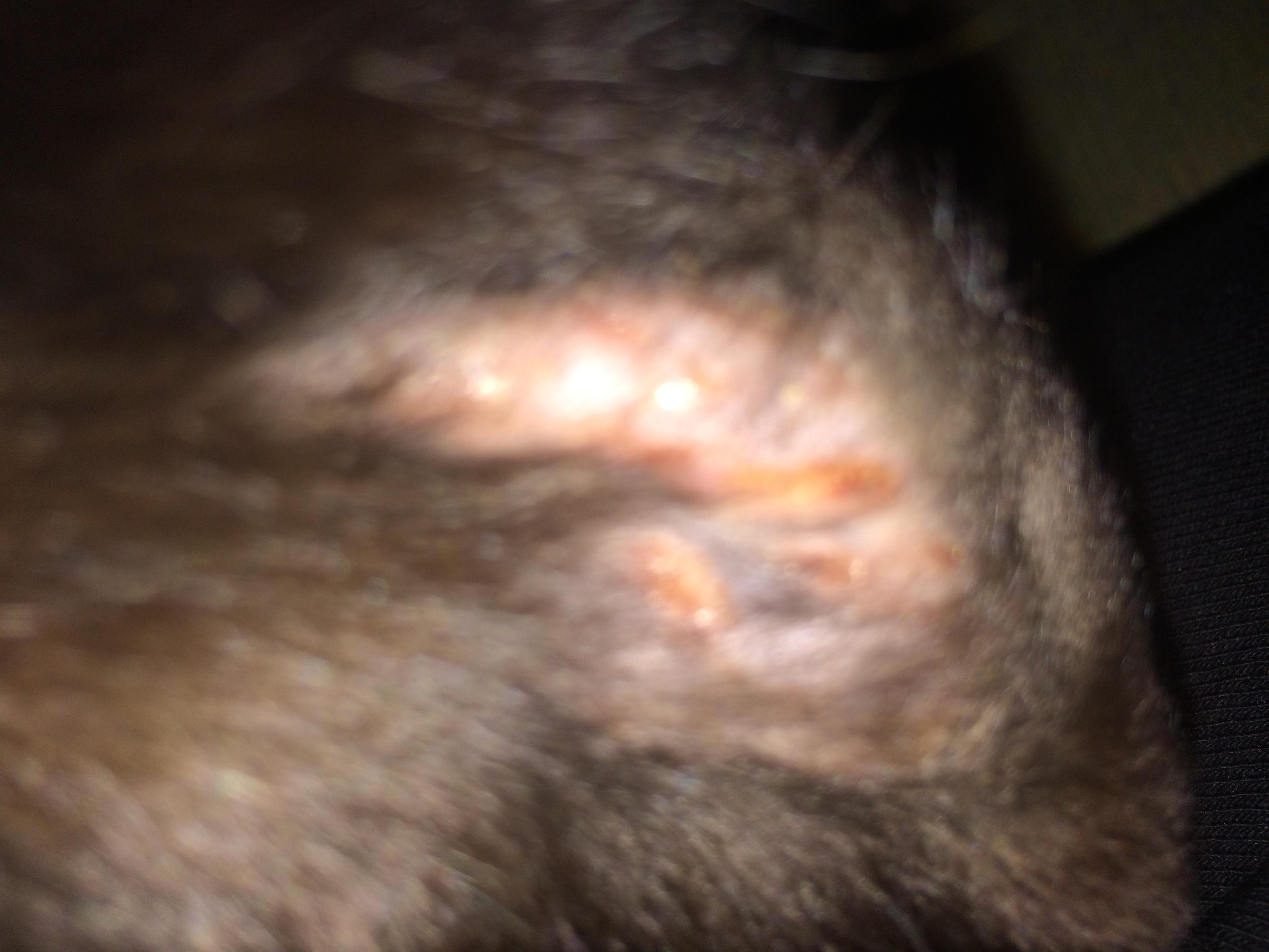 Question details sensitive content