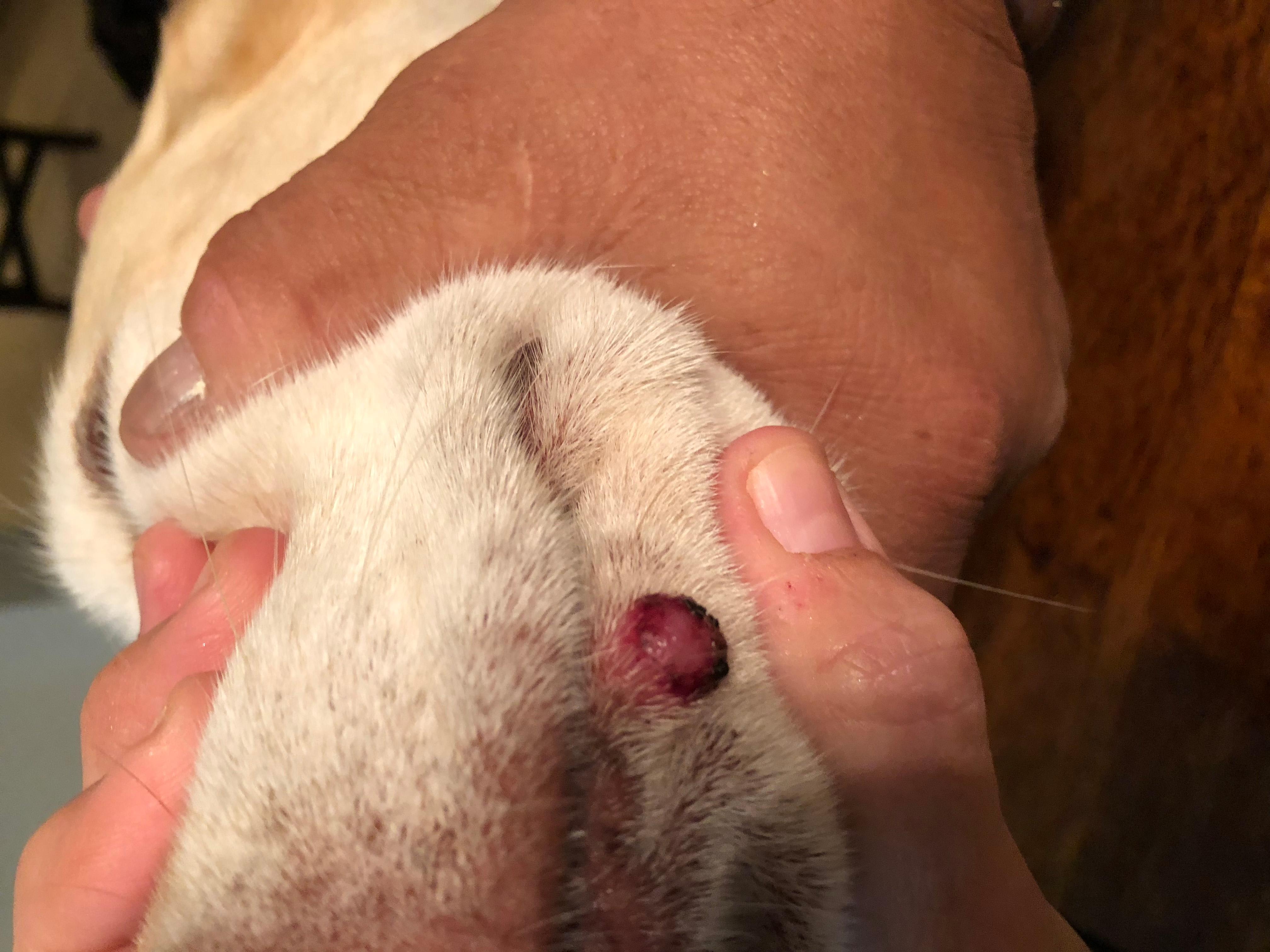 Question details sensitive content