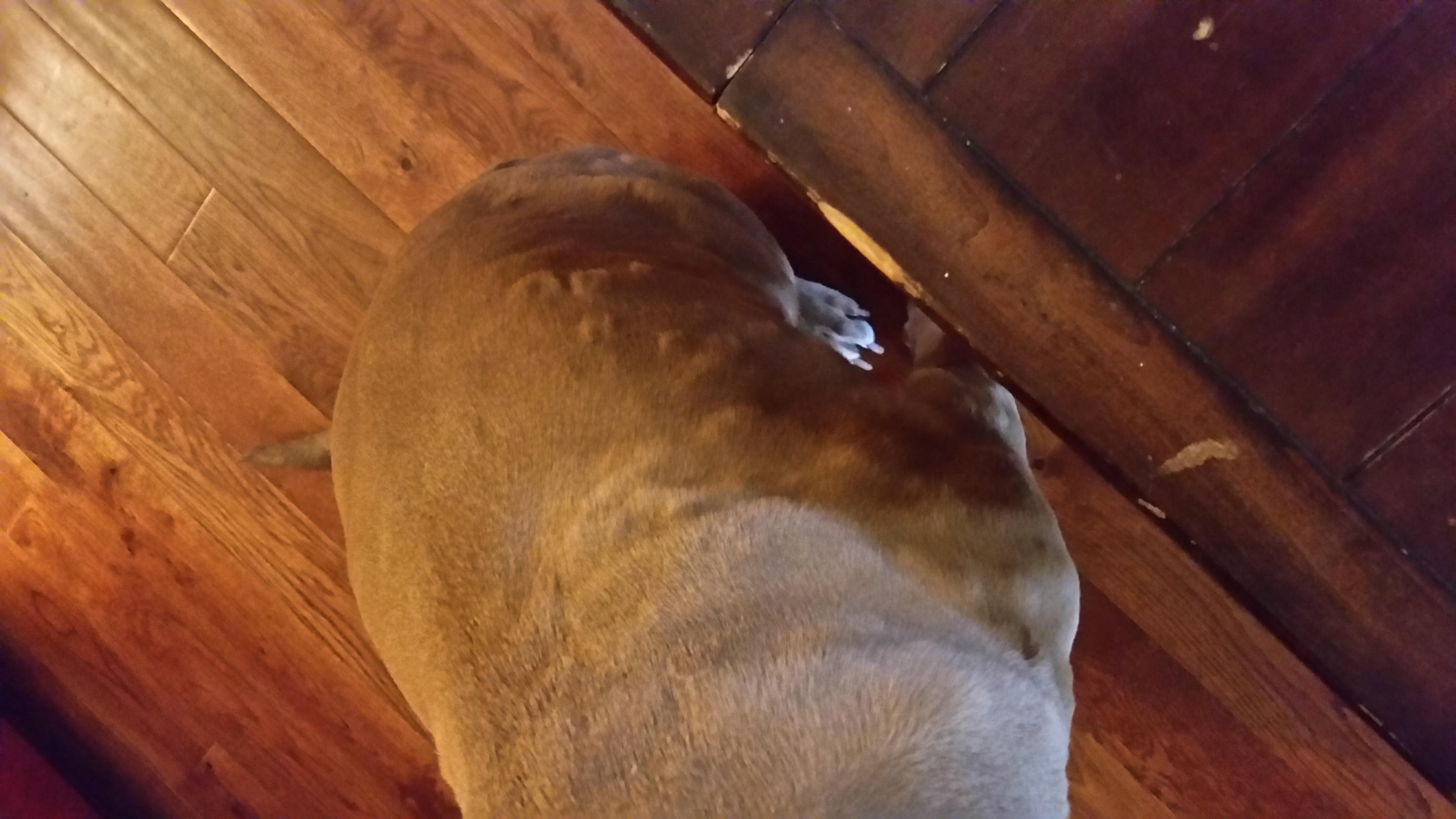 Question details sensitive content