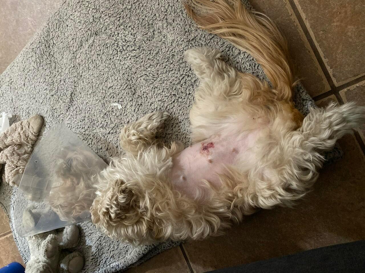 Question details sensitive content