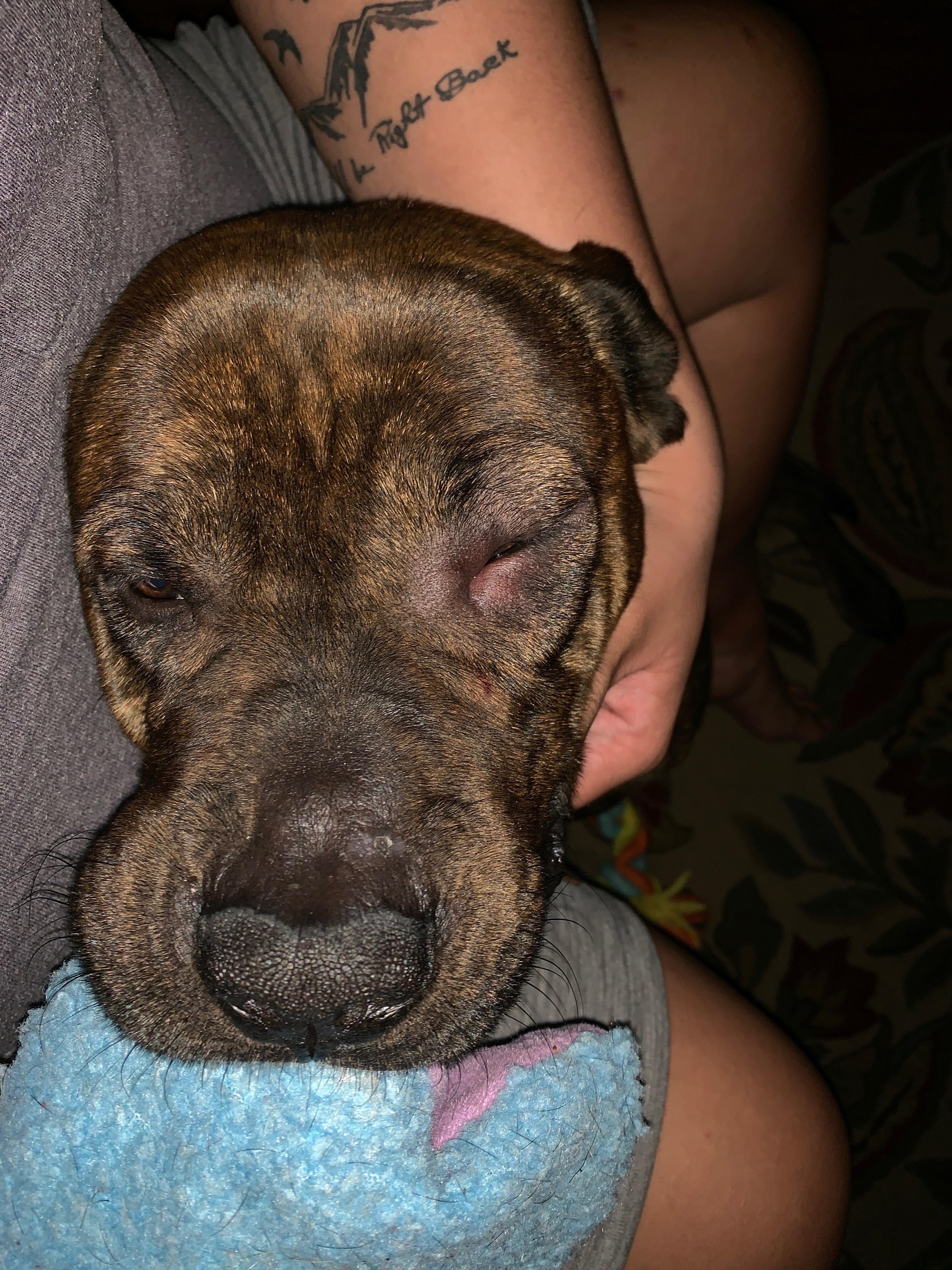 Question details sensitive content