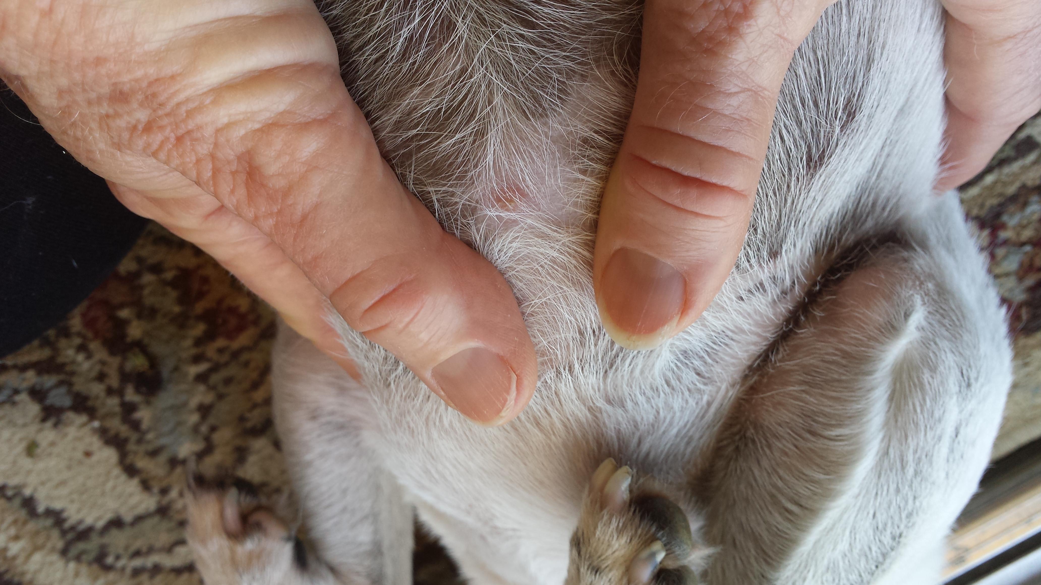 Question details sensitive content