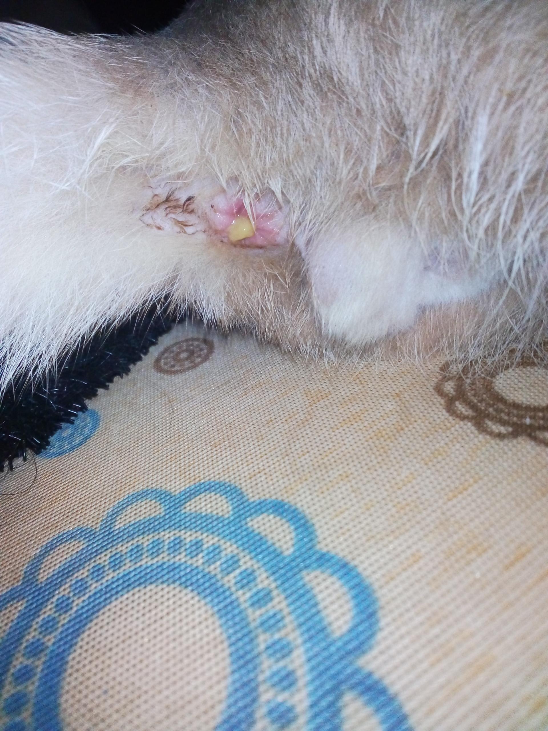 Question details sensitive content