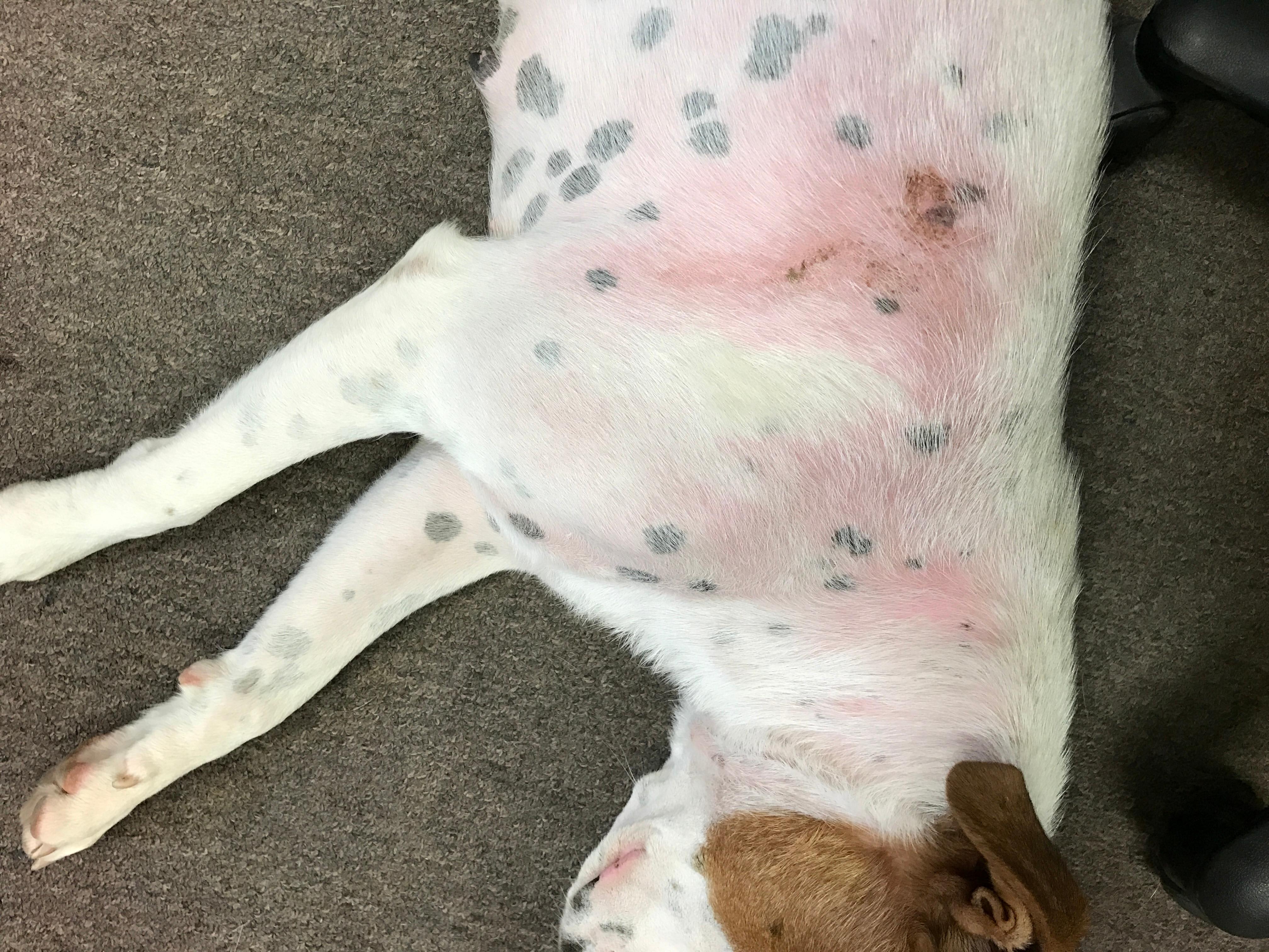 Question details sensitive content