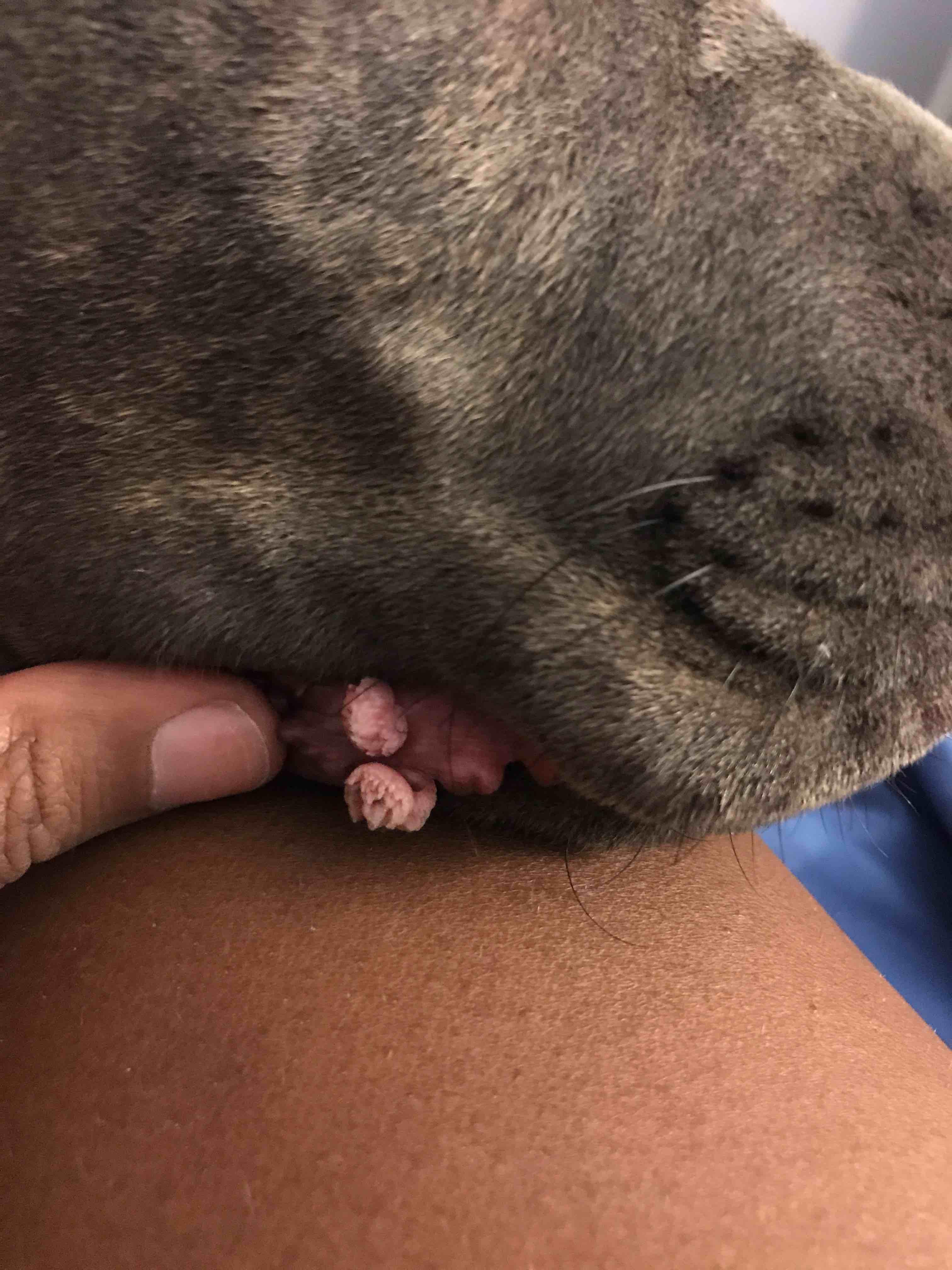 Question details sensitive content