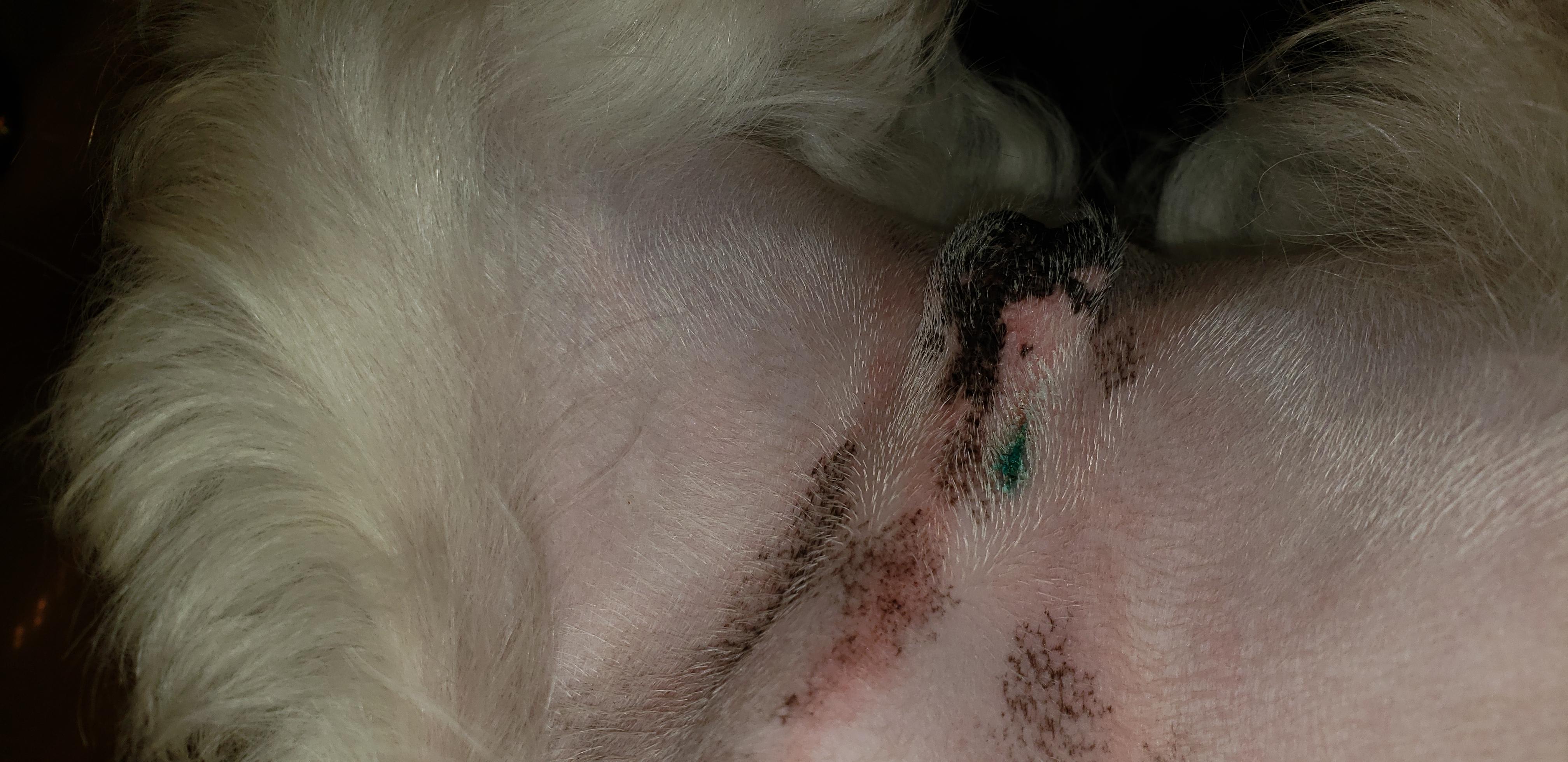 Question details sensitive content