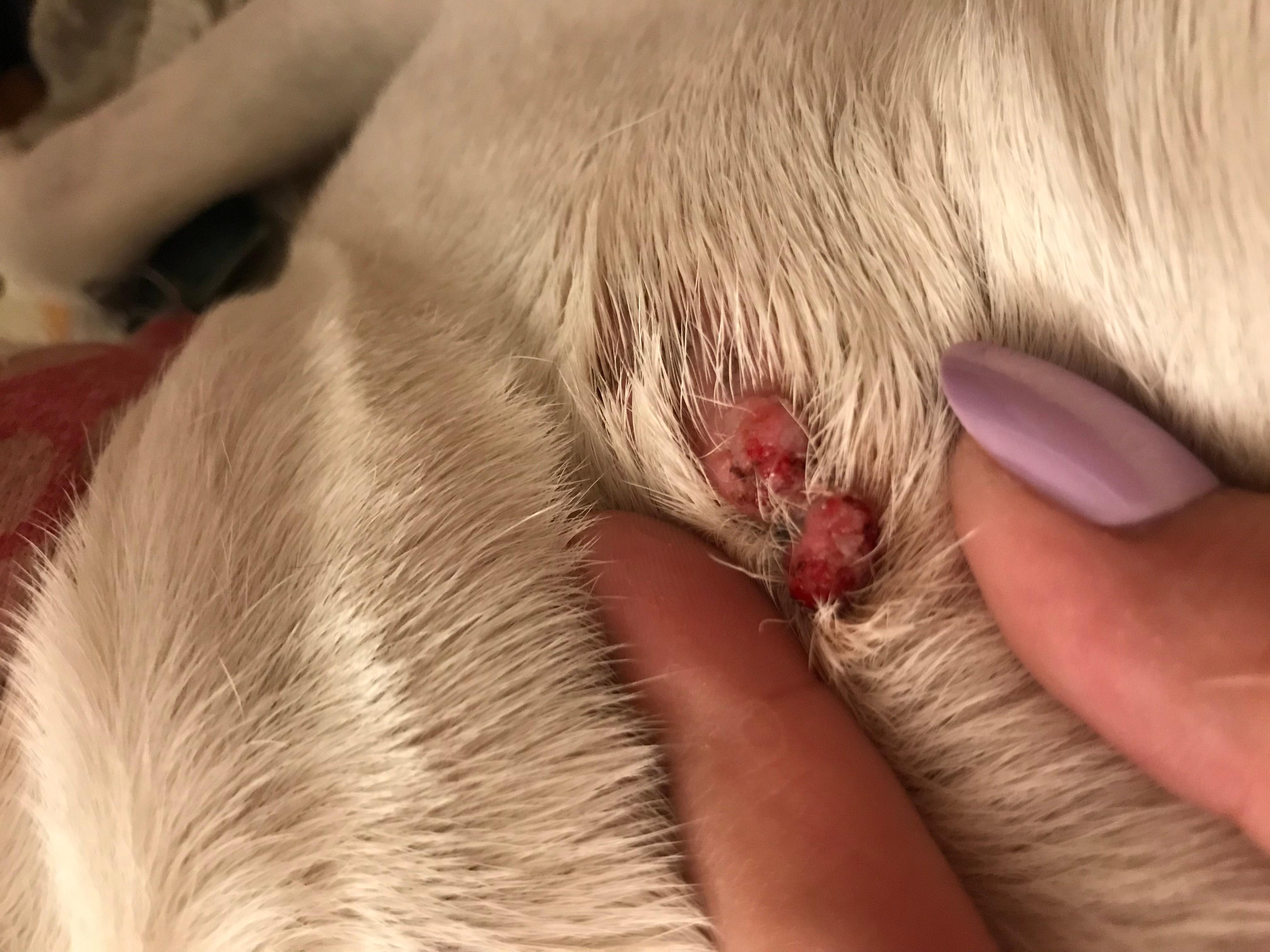 Question details sensitive content