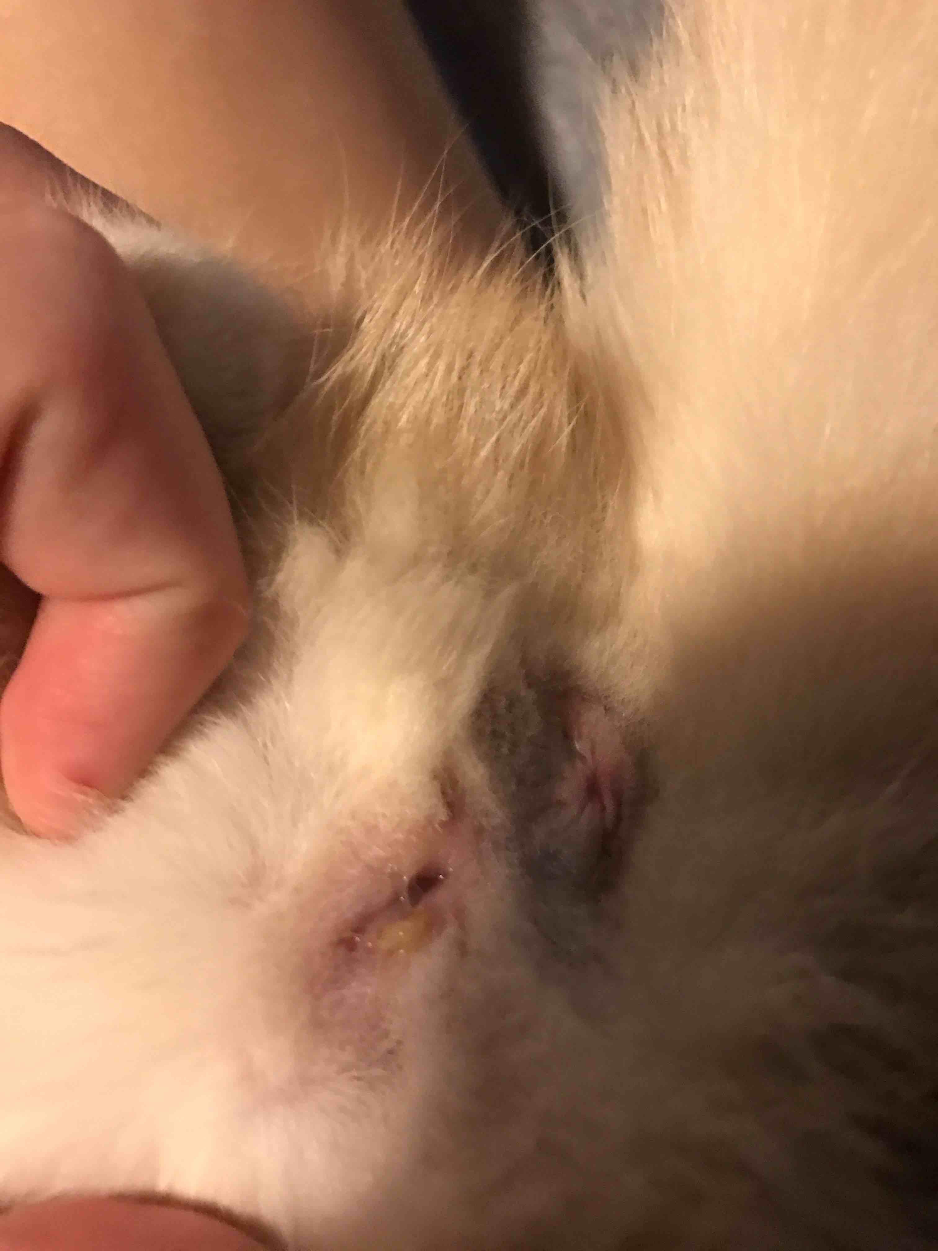 Question details sensitive content