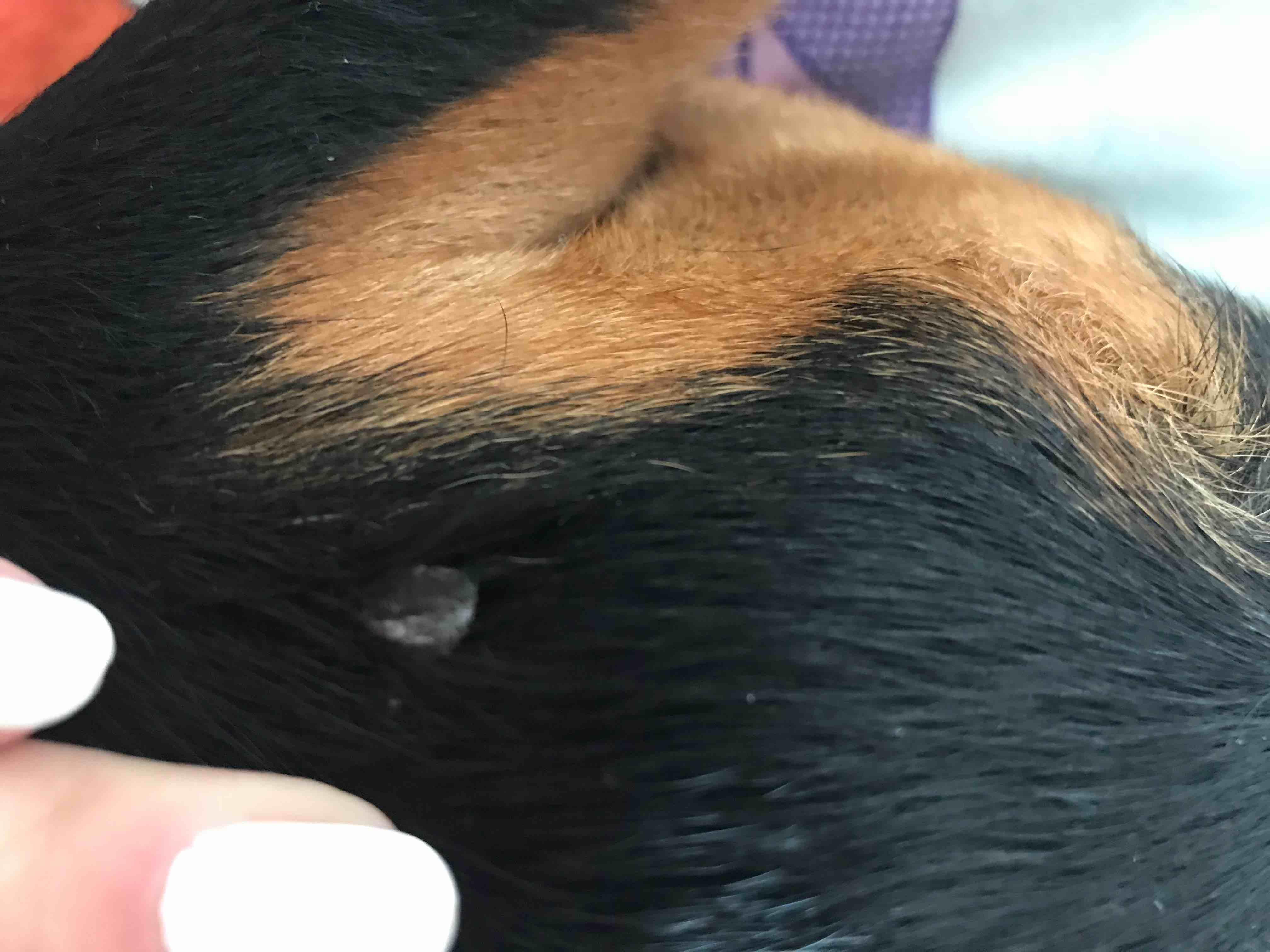 Question details sensitive content