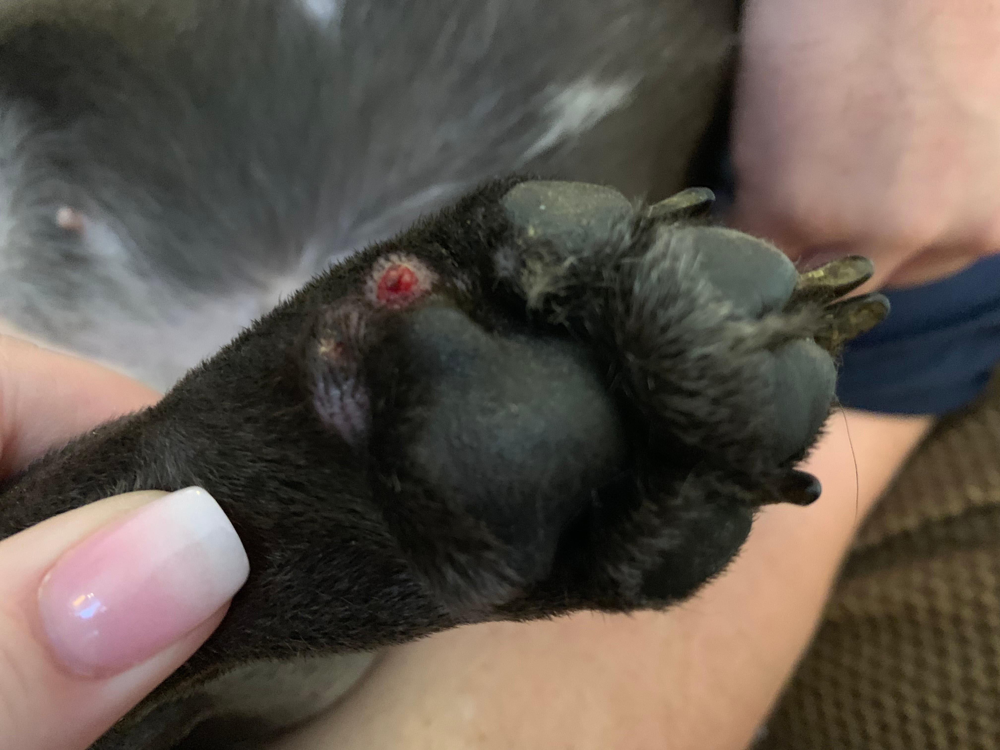 Question details sensitive content