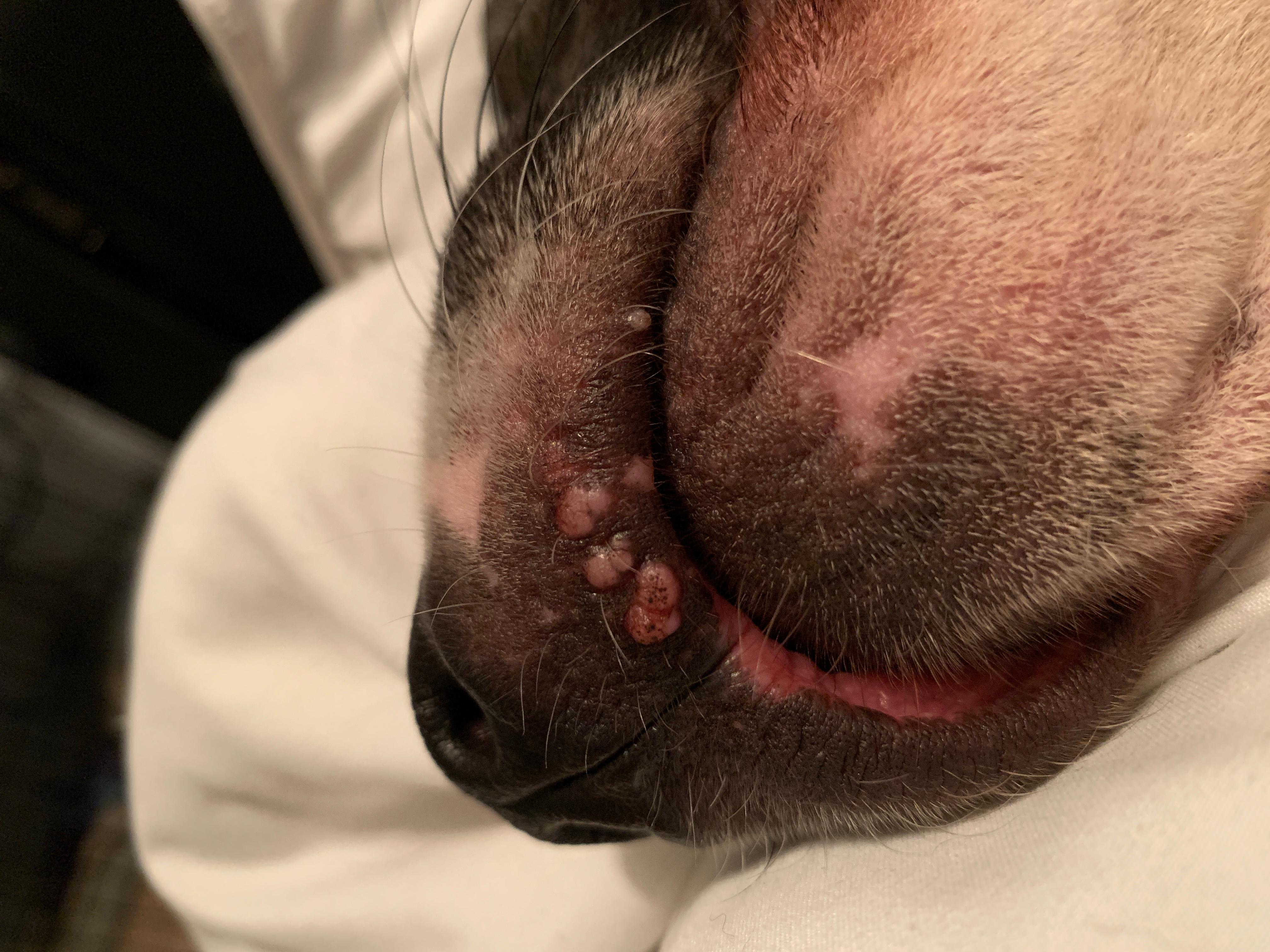 Question details sensitive content