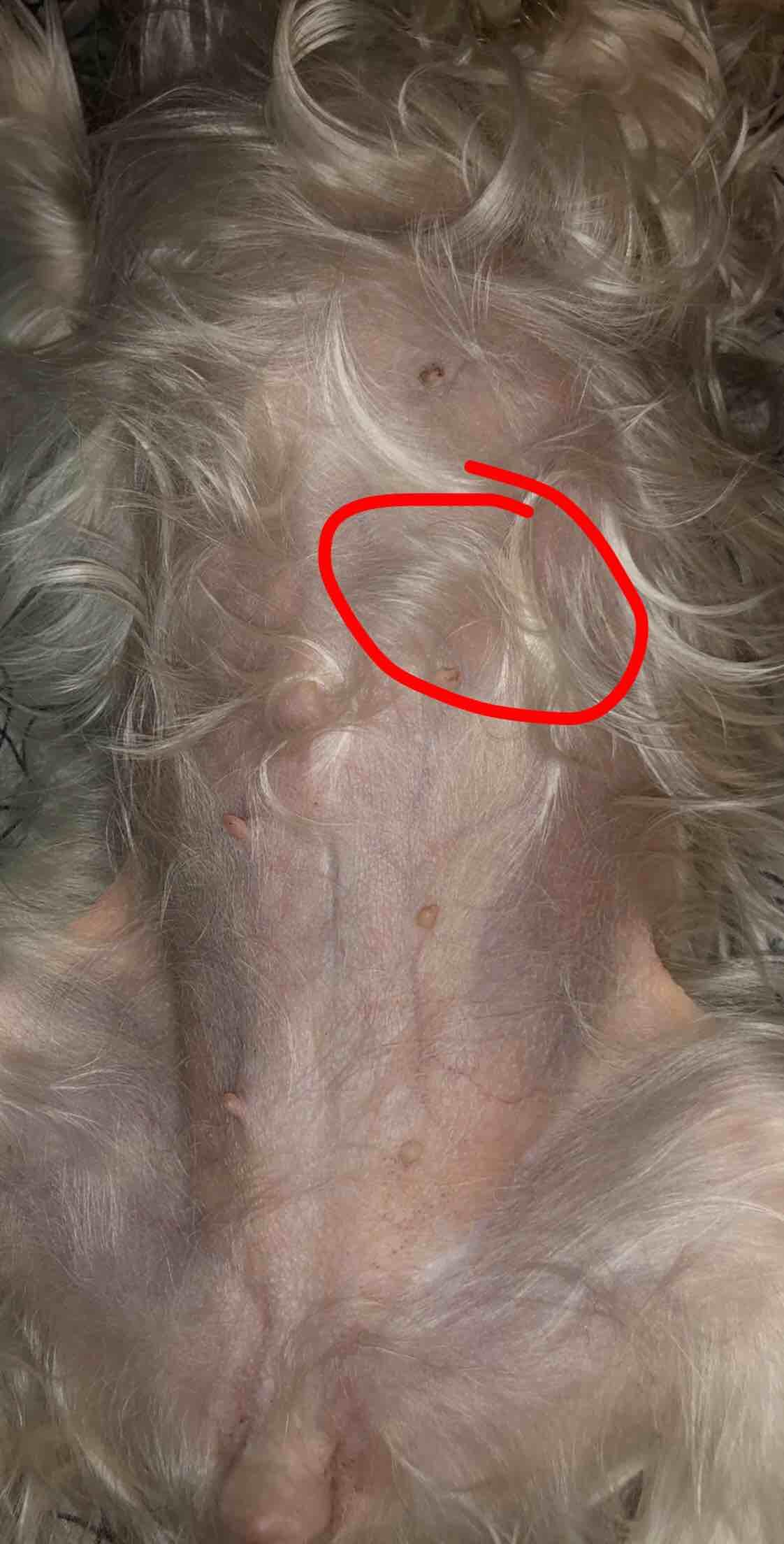 Question details sensitive content