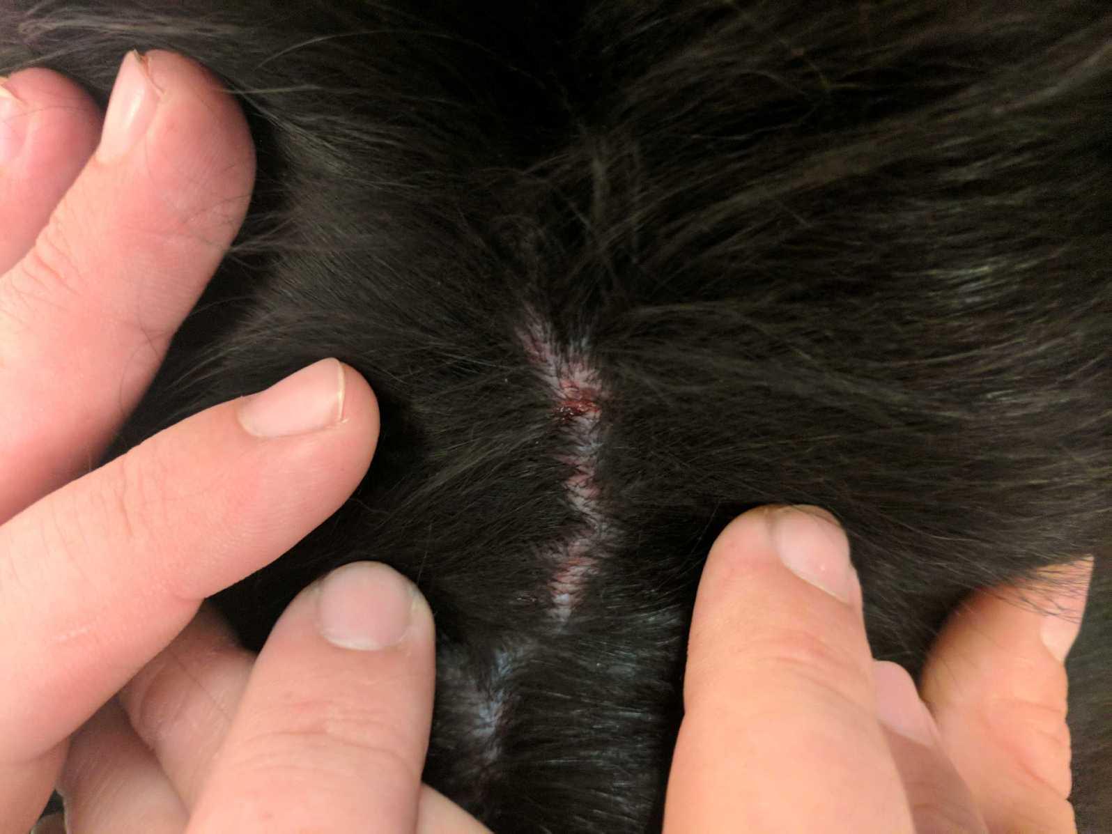 Question details sensitive content