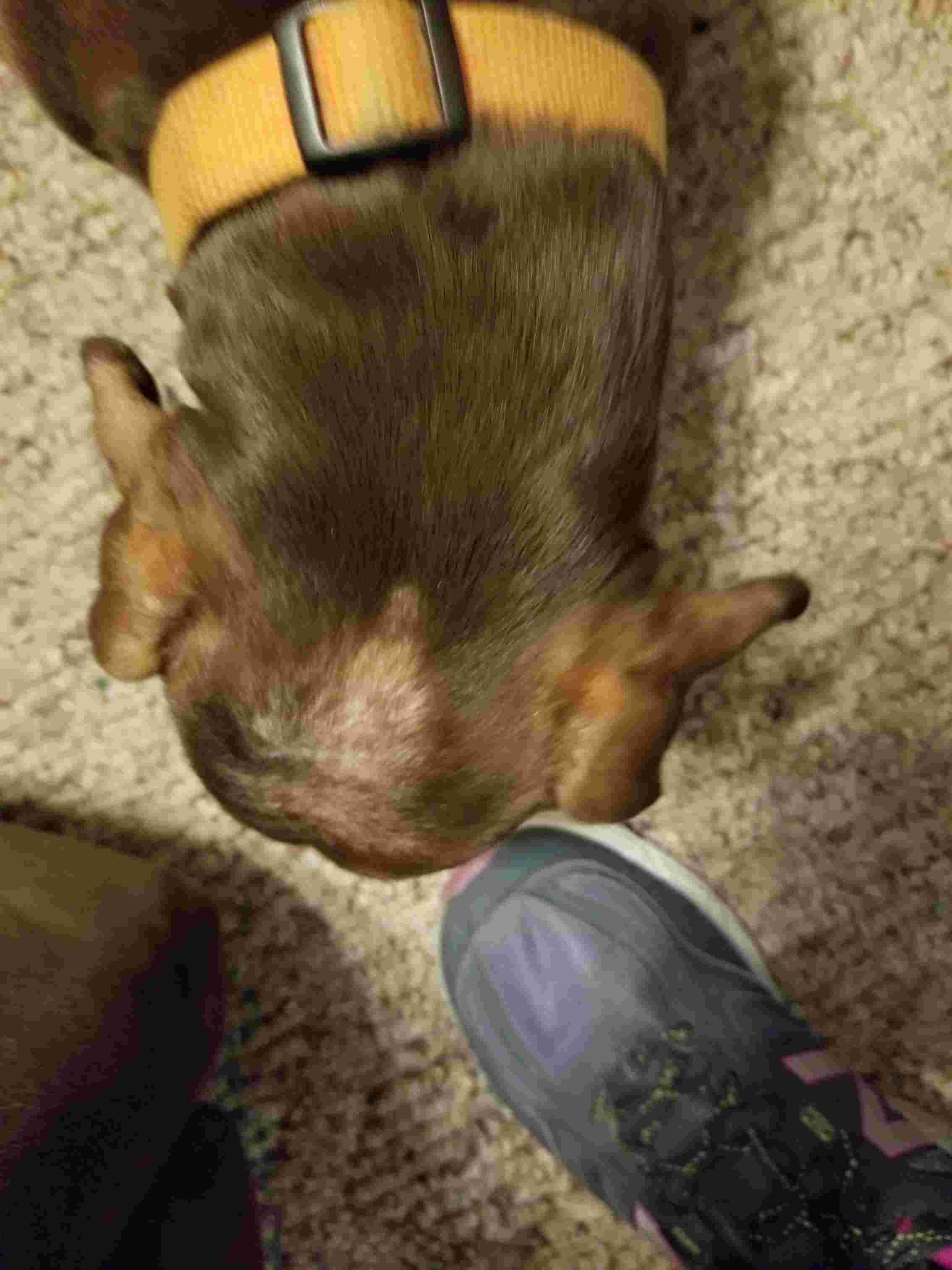 Question details sensitive content