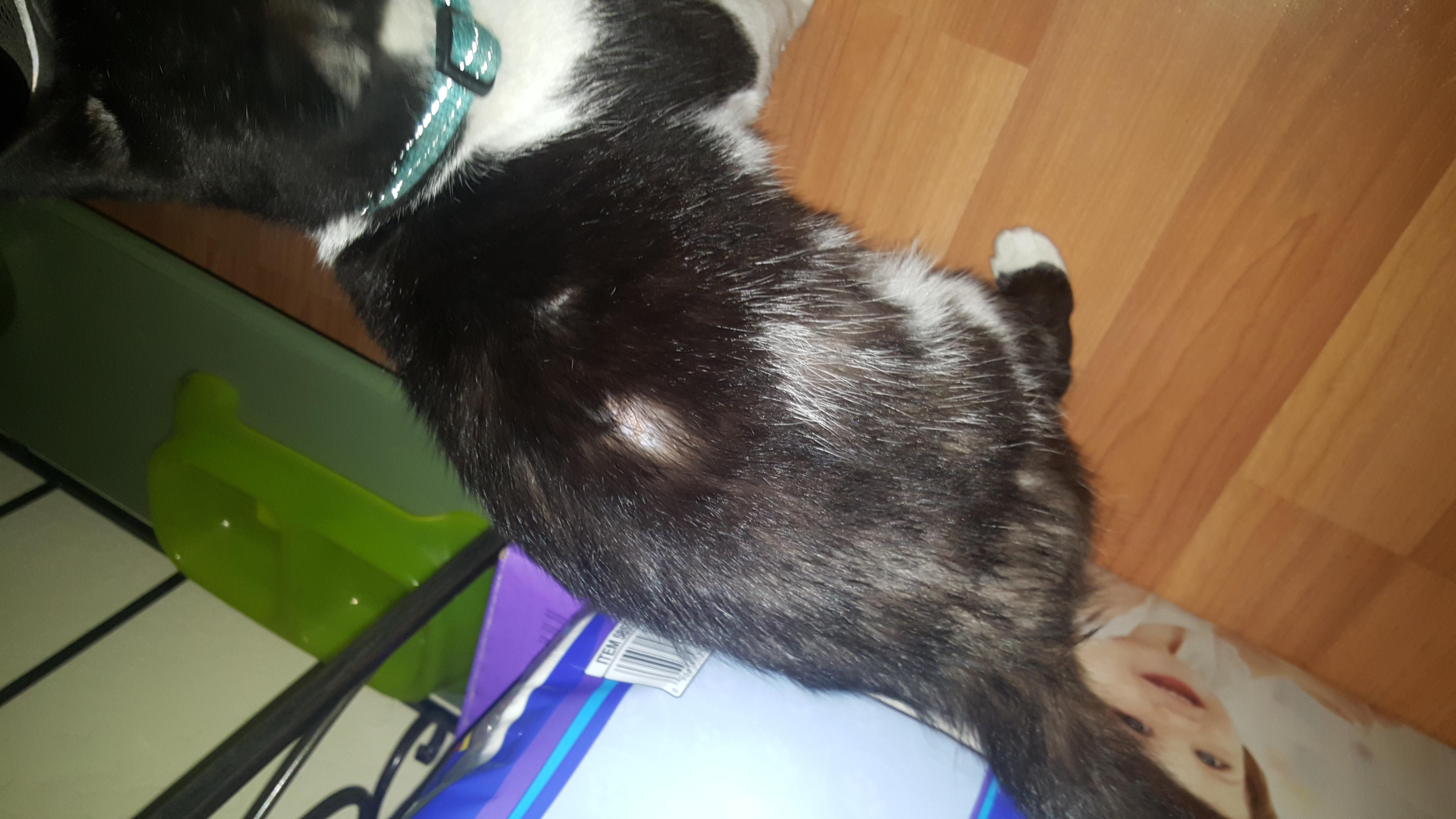 Question details sensitive content