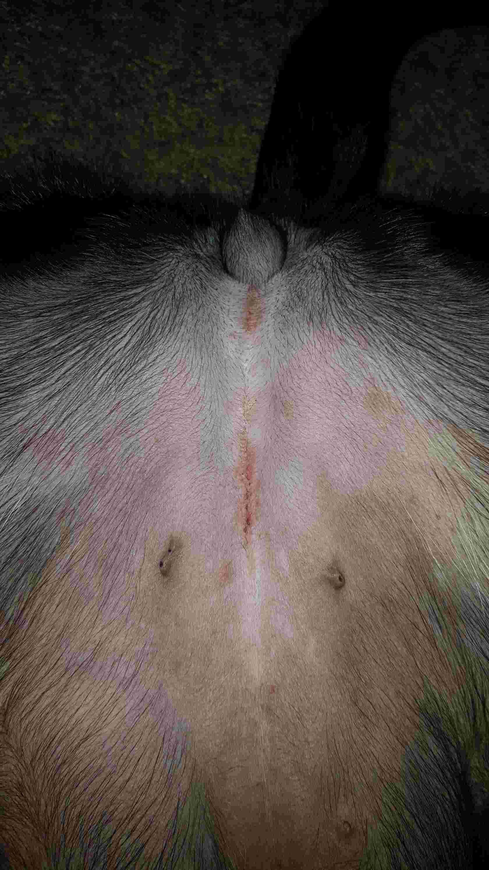 Question details sensitive content