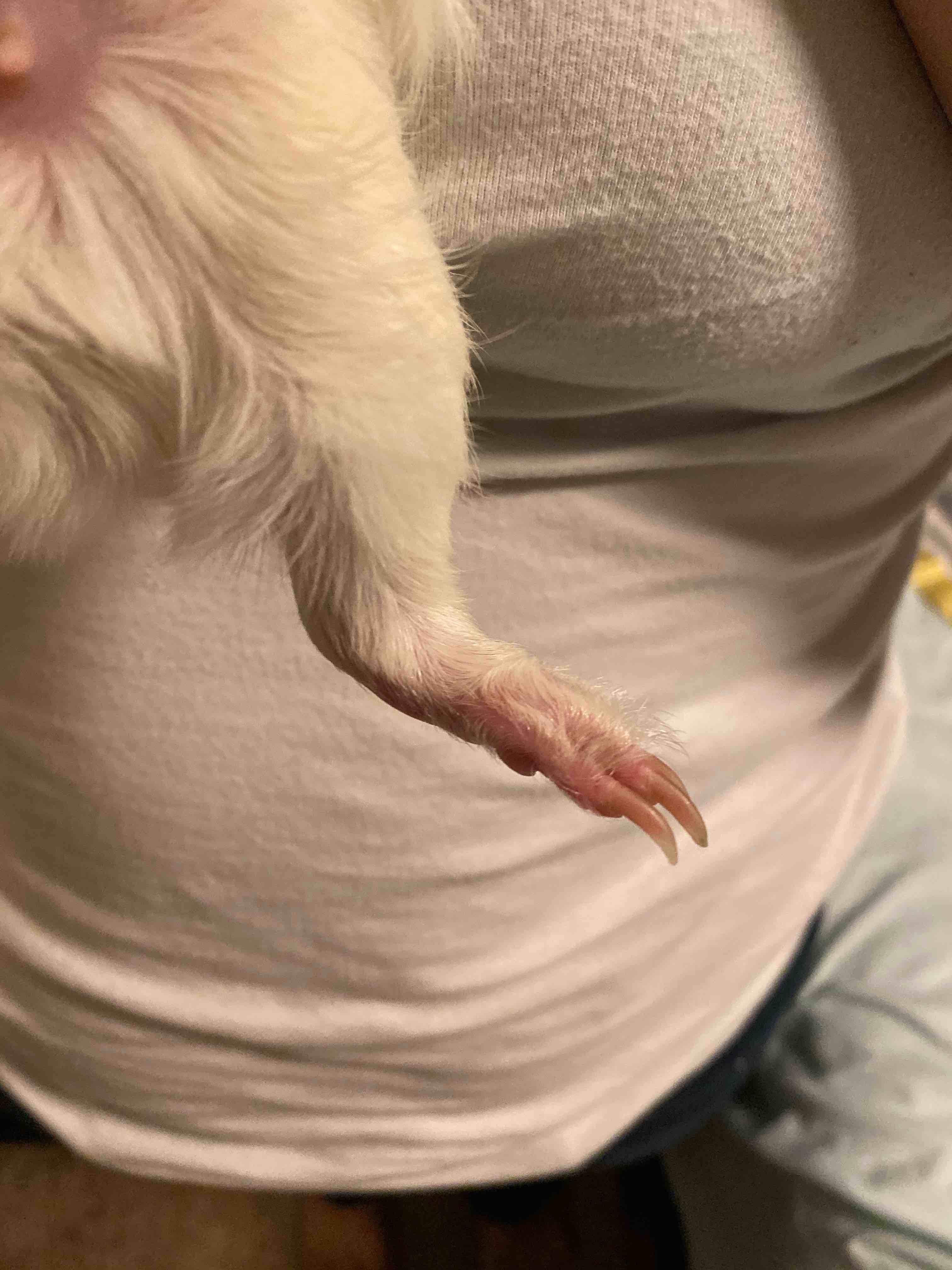 Question details sensitive content