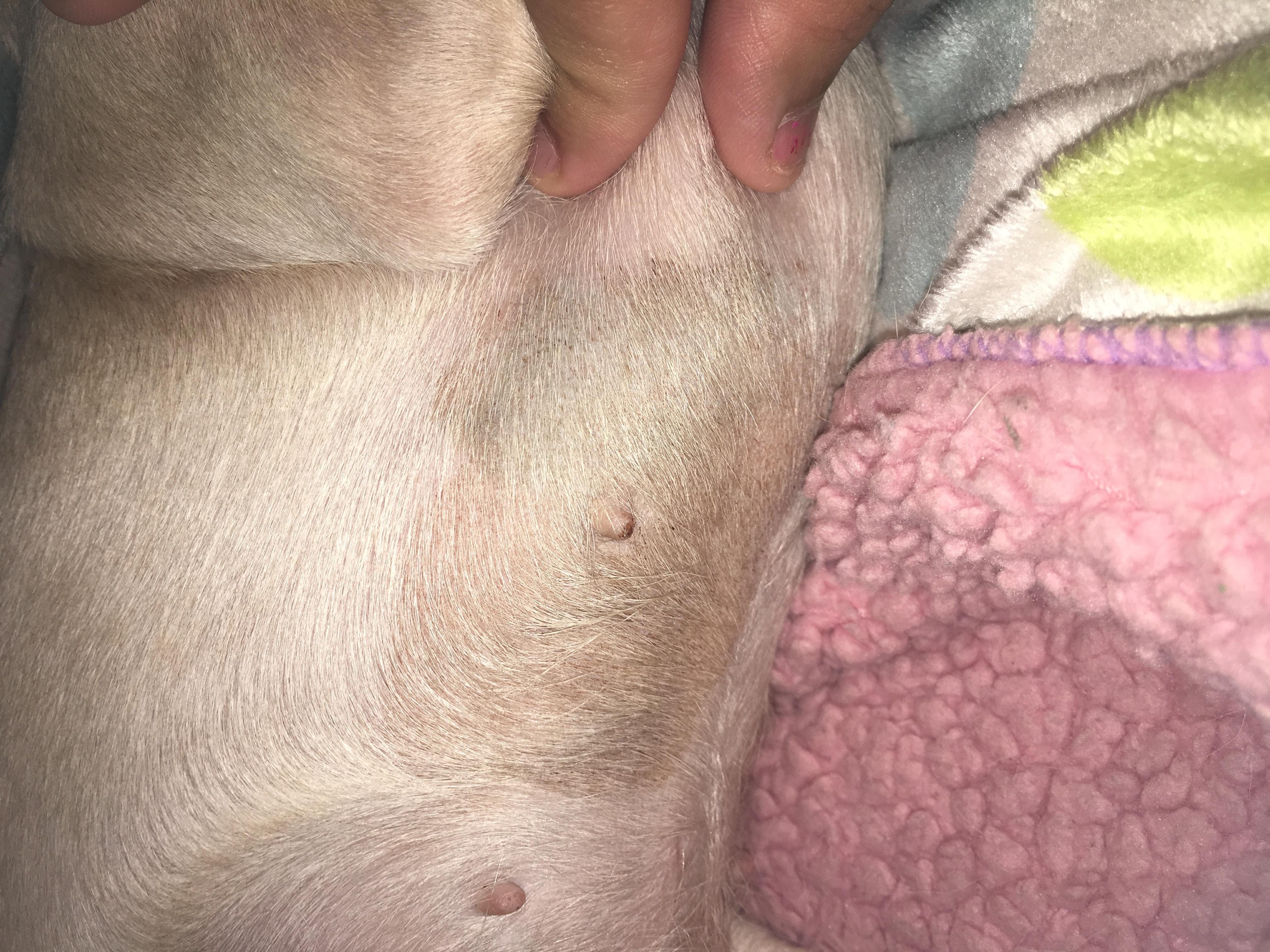 Question details sensitive content