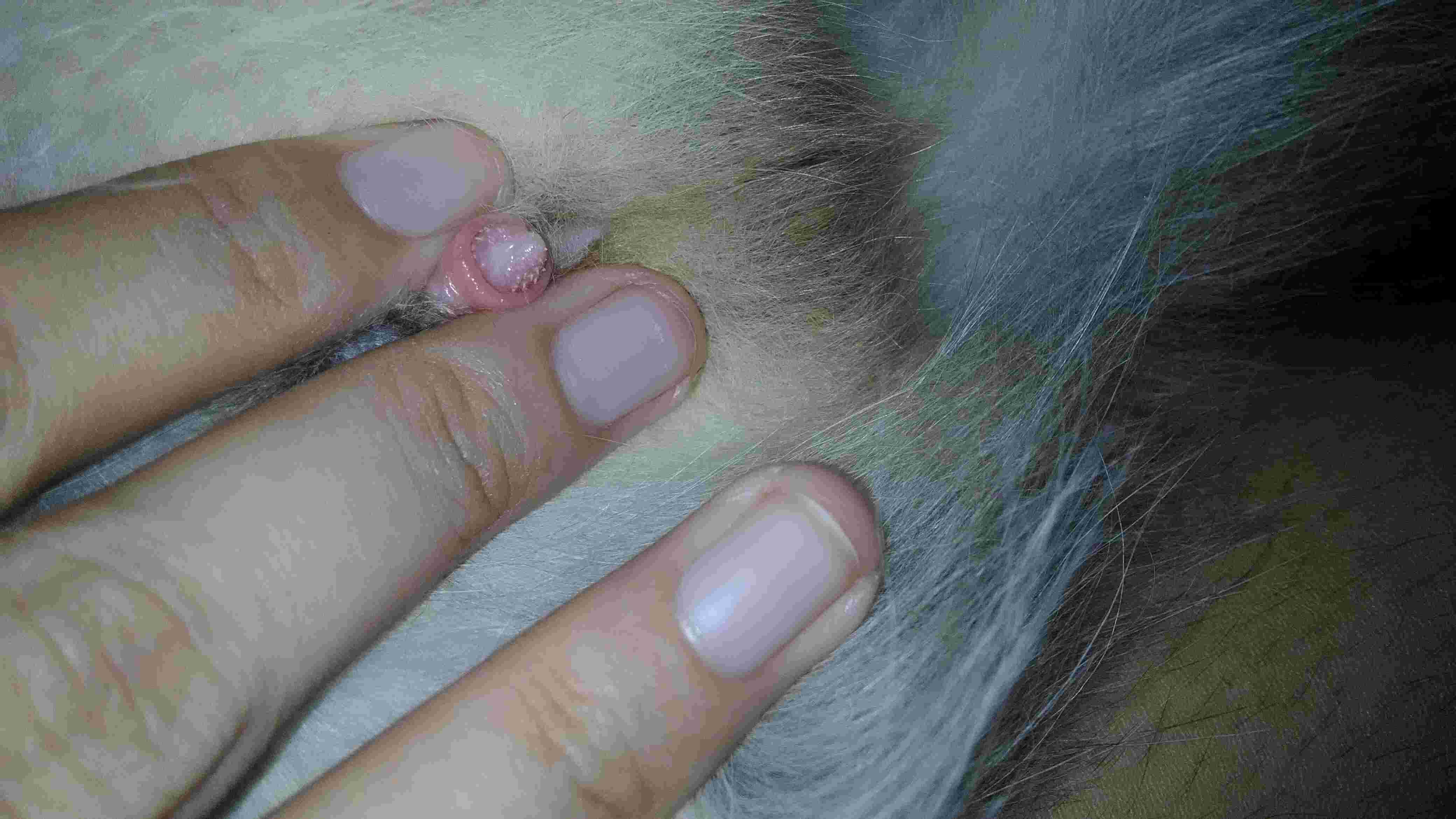 Question details sensitive content