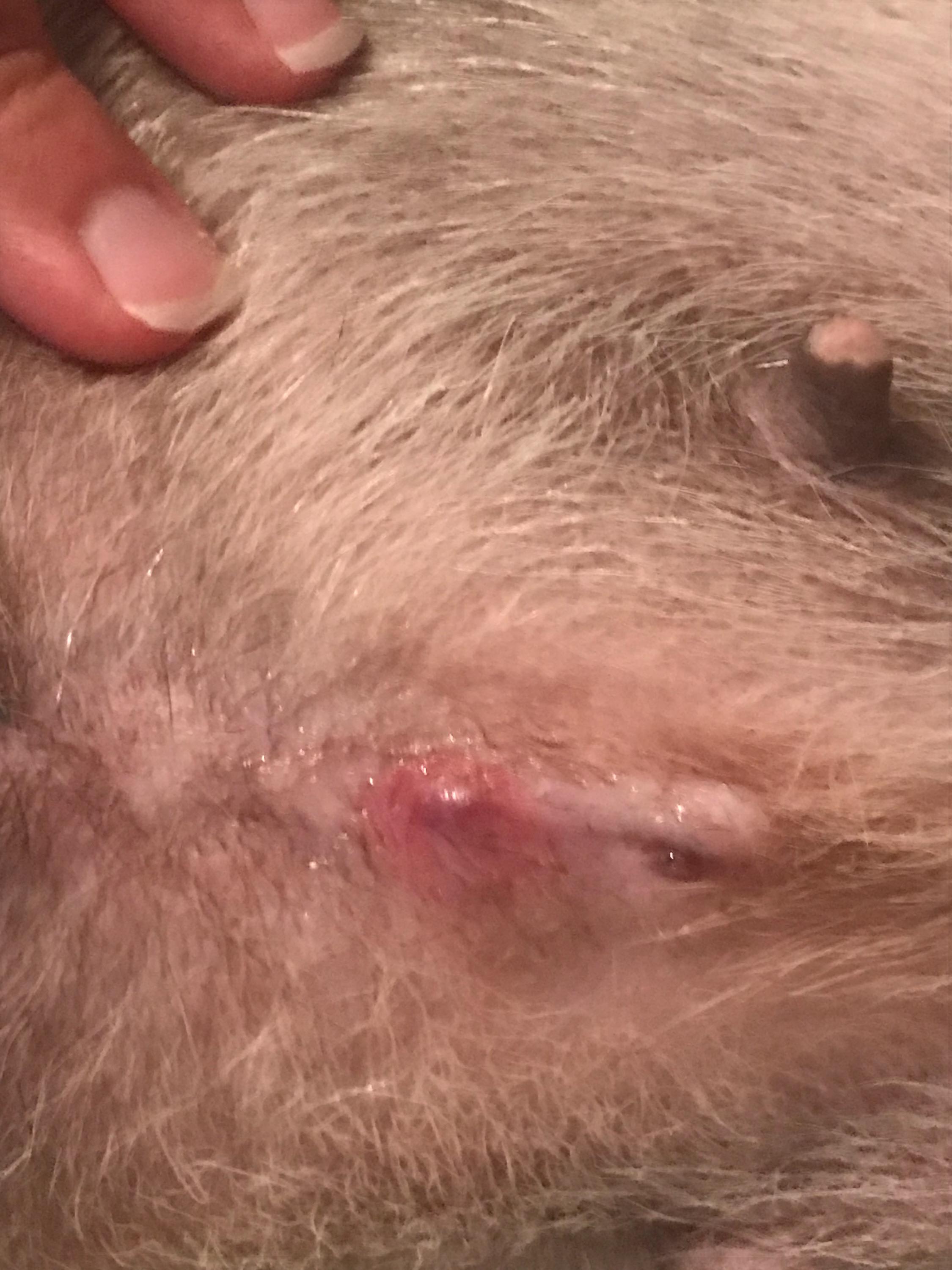 Question details sensitive content