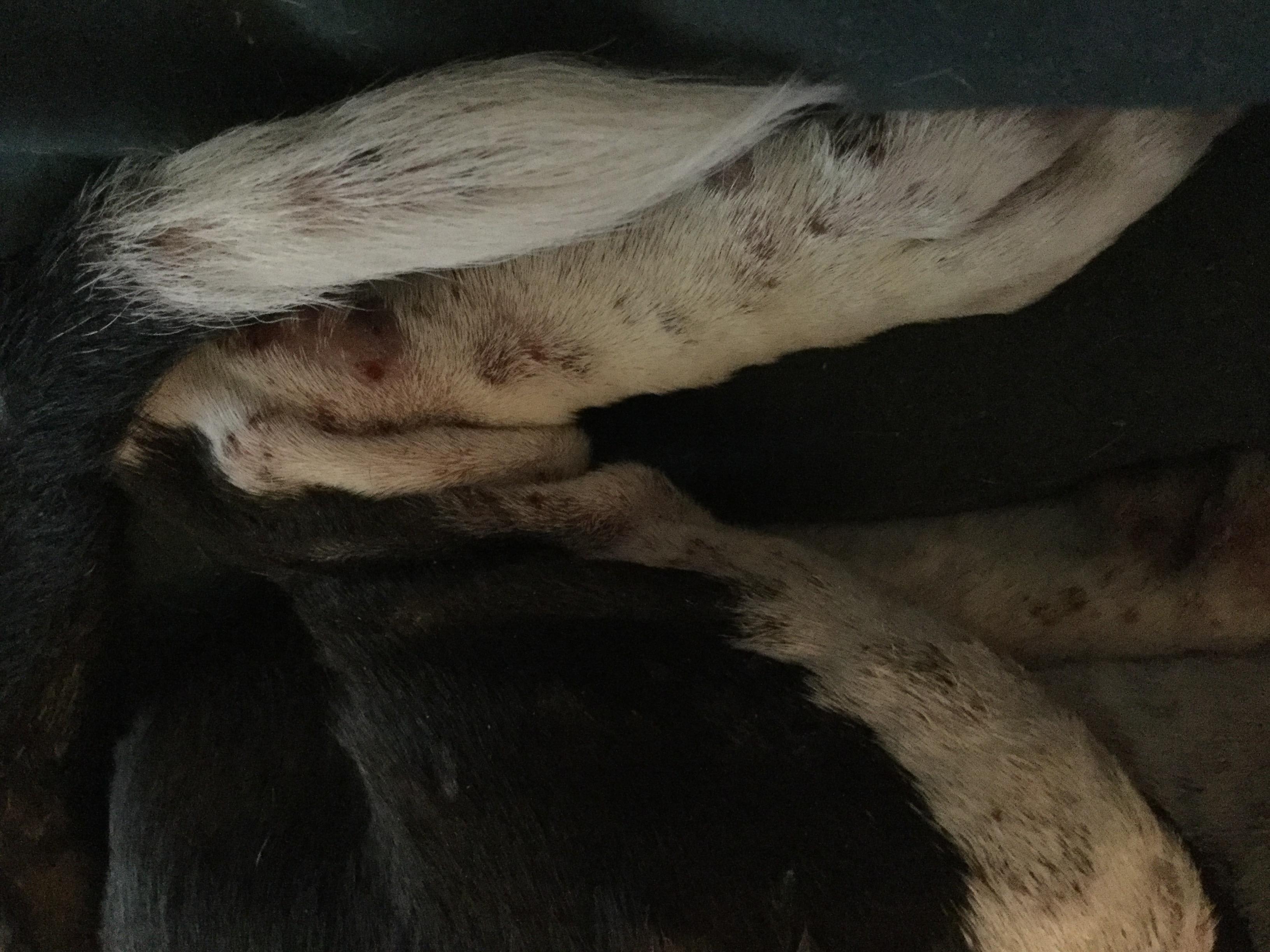 Question details sensitive content