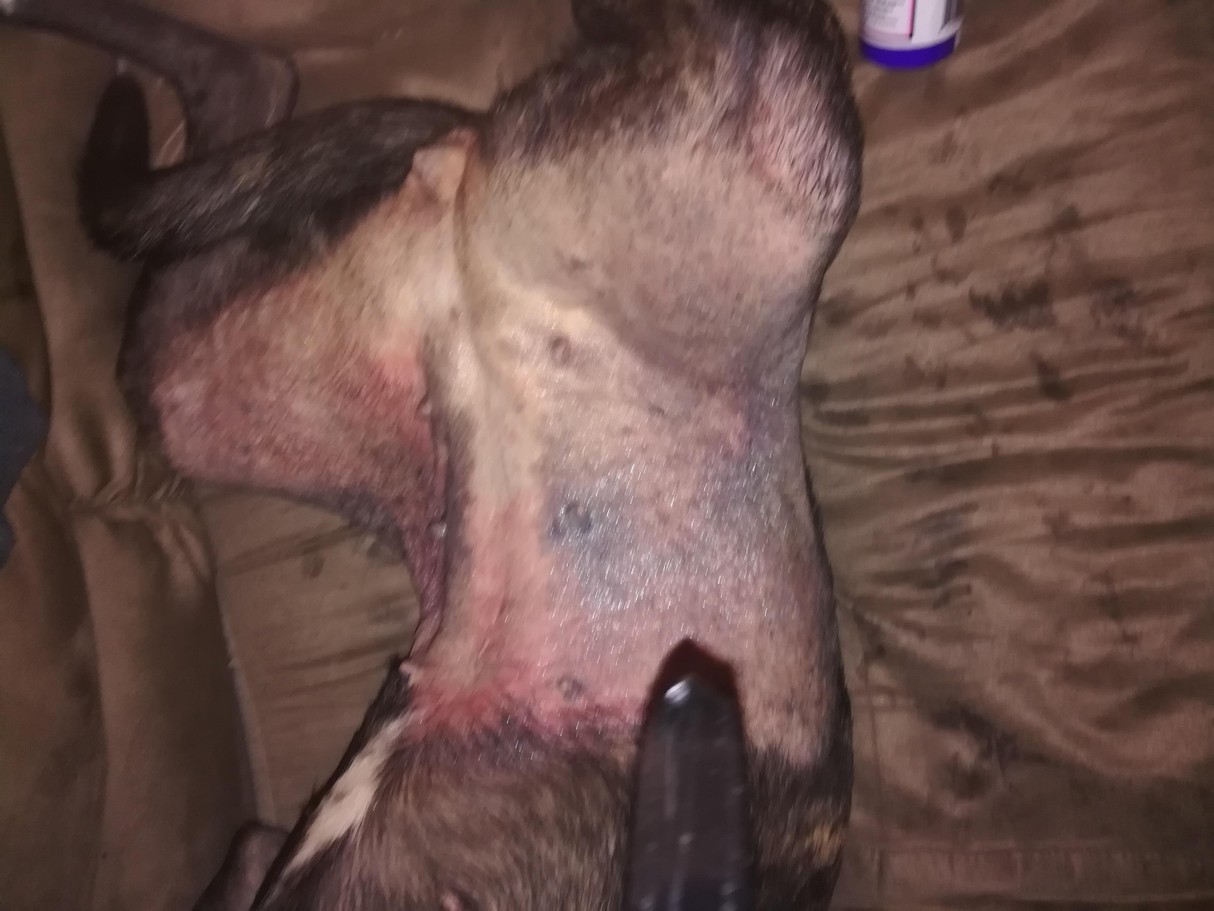 Question details sensitive content