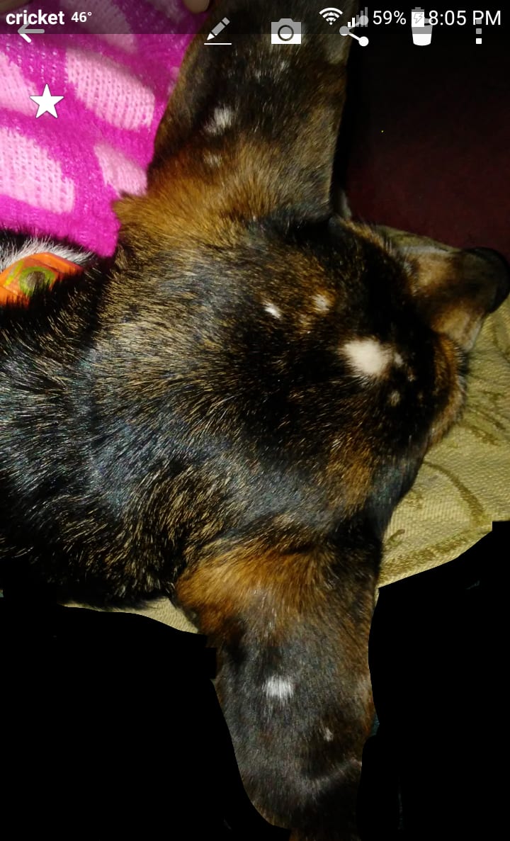 Question details sensitive content