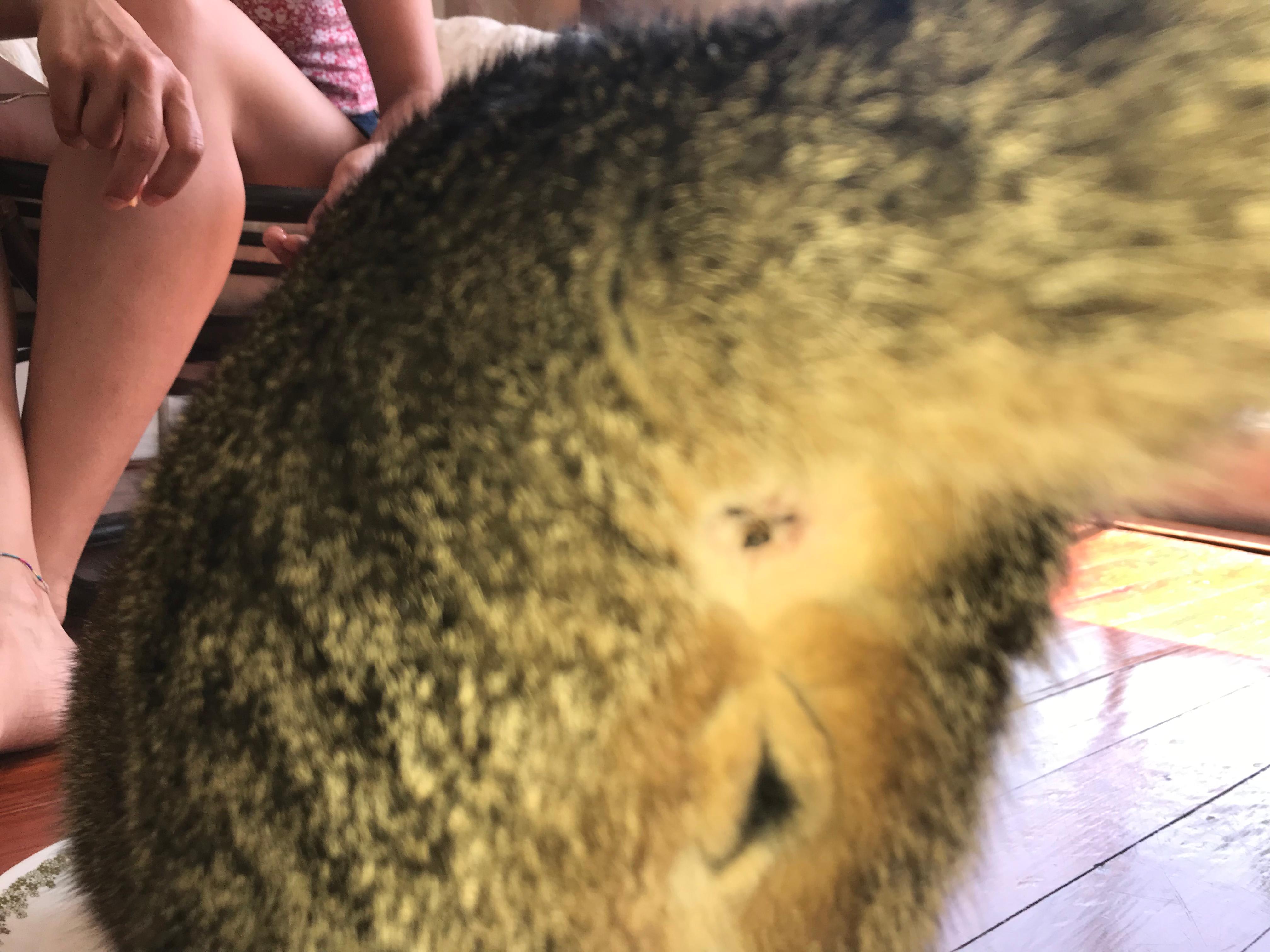 Question details sensitive content