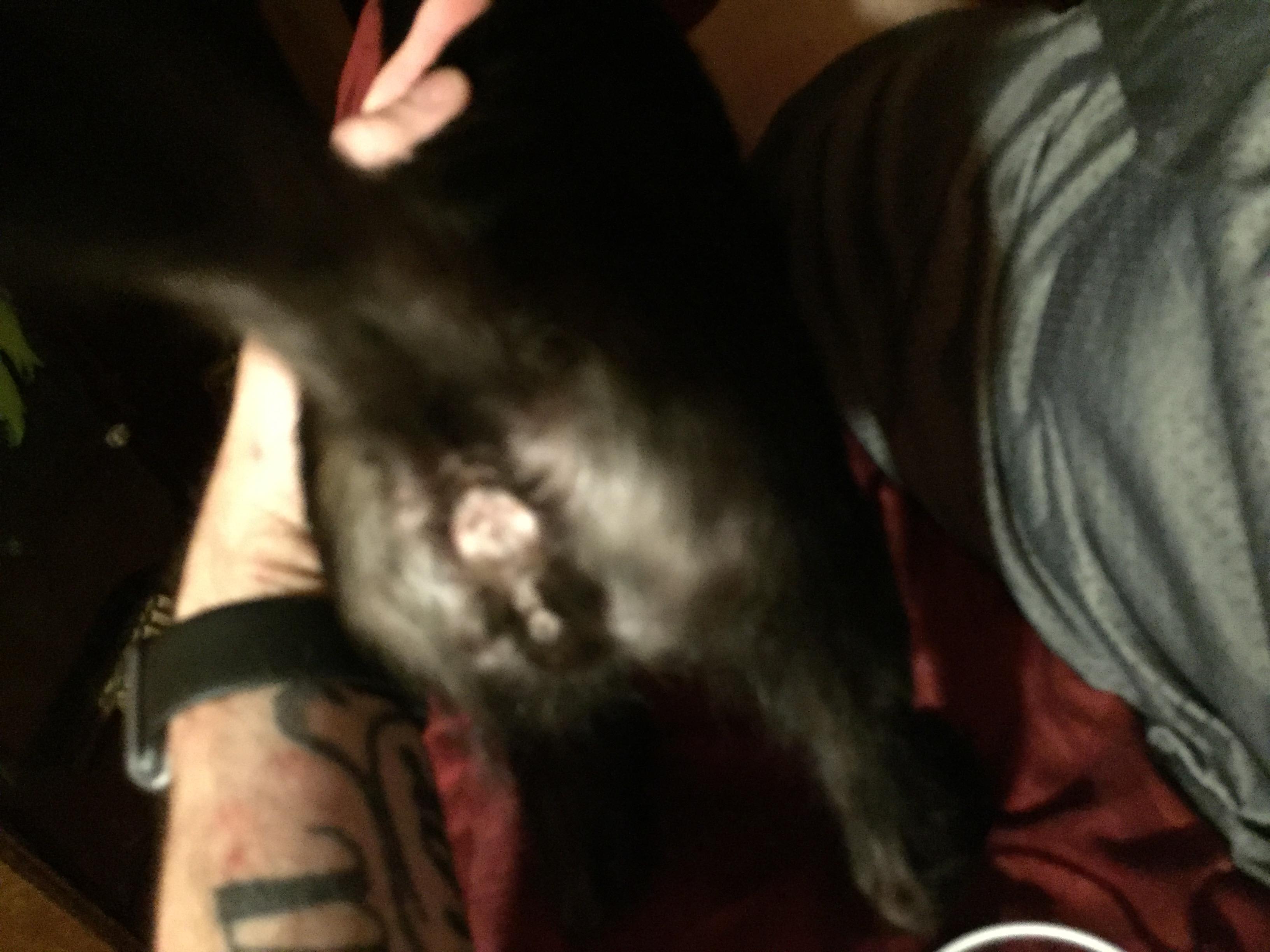 Question details sensitive content