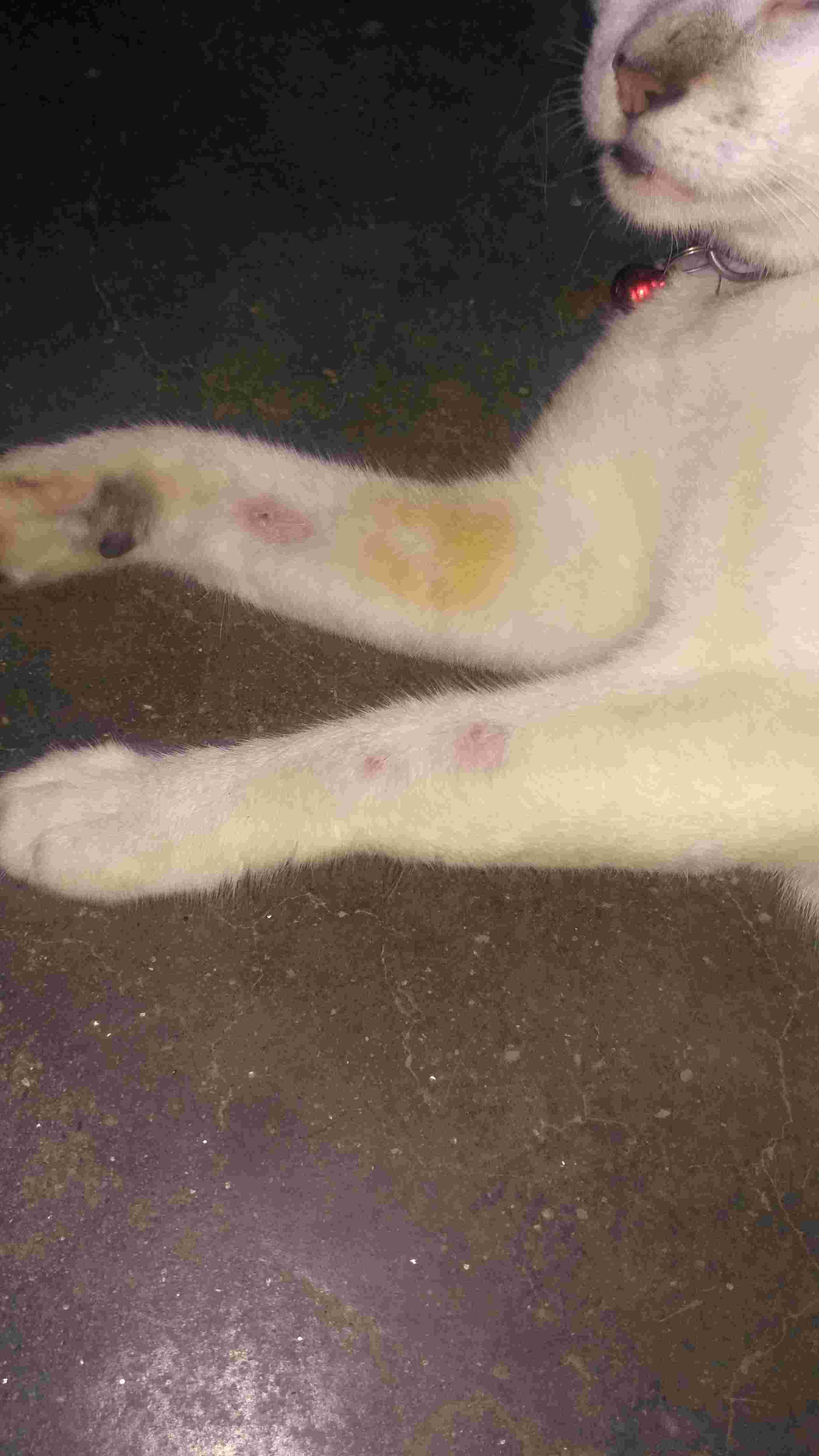 Question details sensitive content