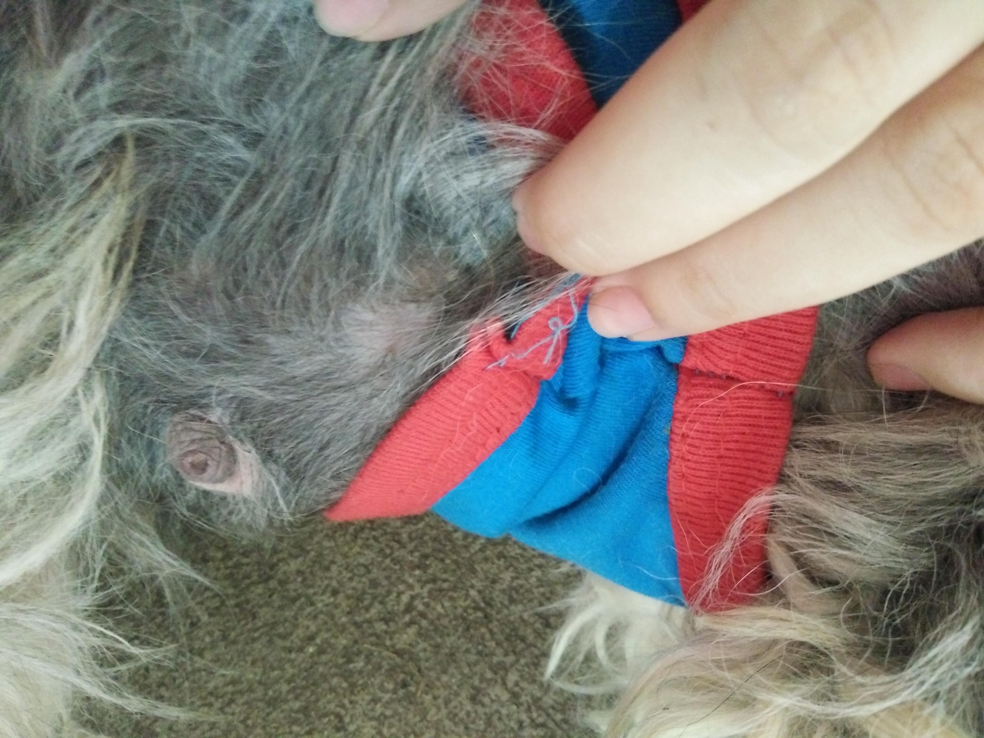 Question details sensitive content