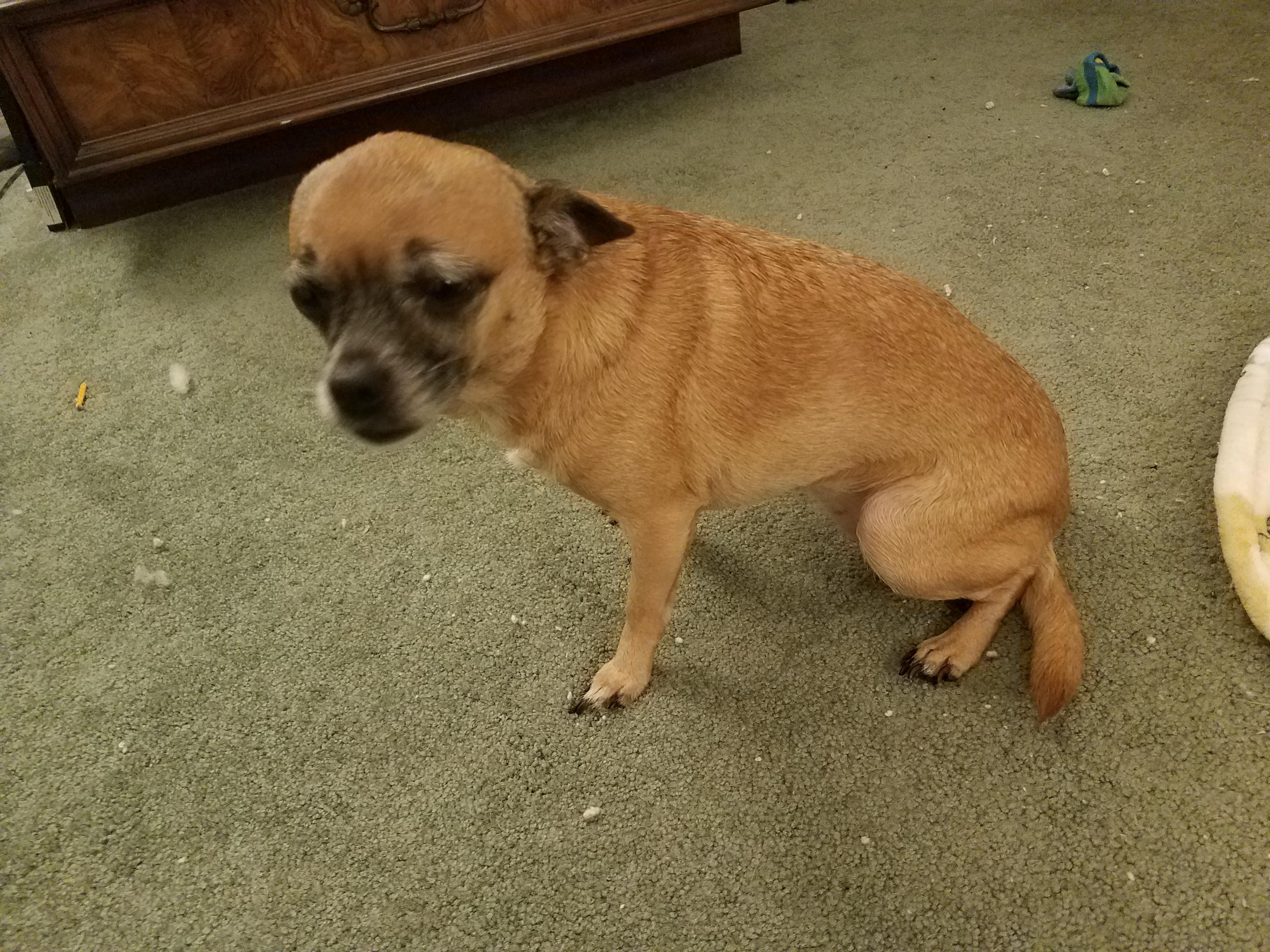 Question details sensitive content