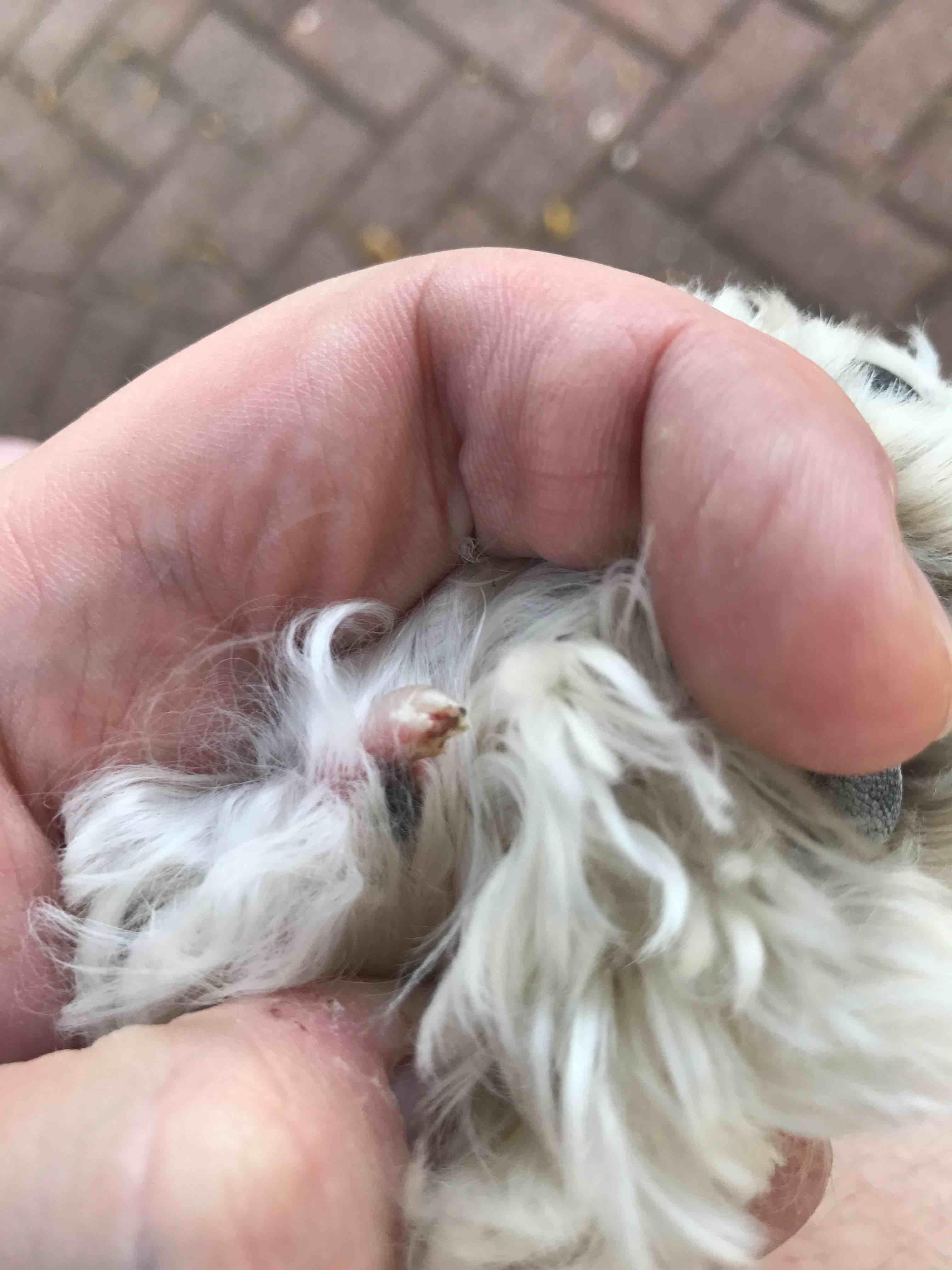 Question details sensitive content