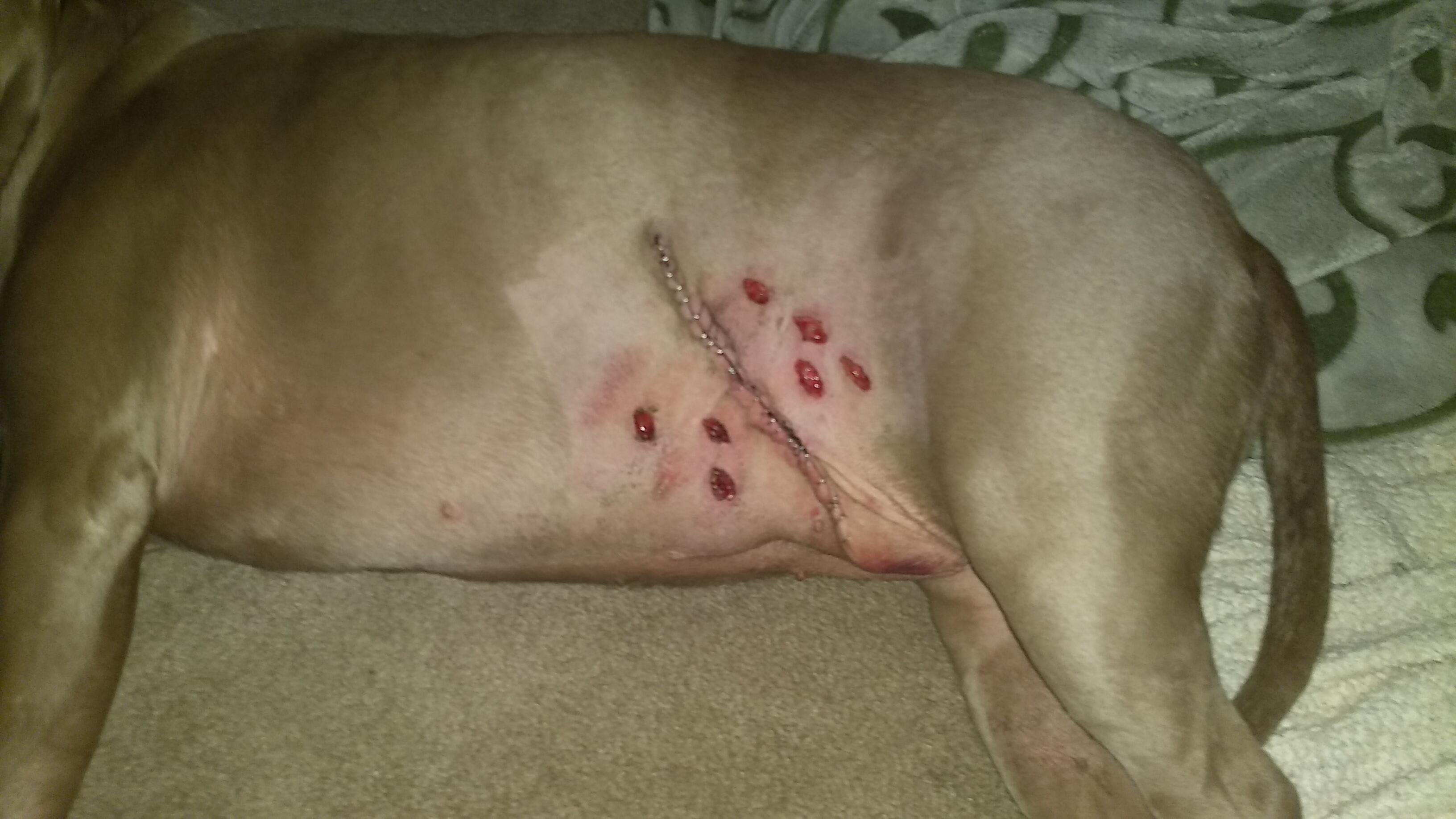 Question details sensitive content