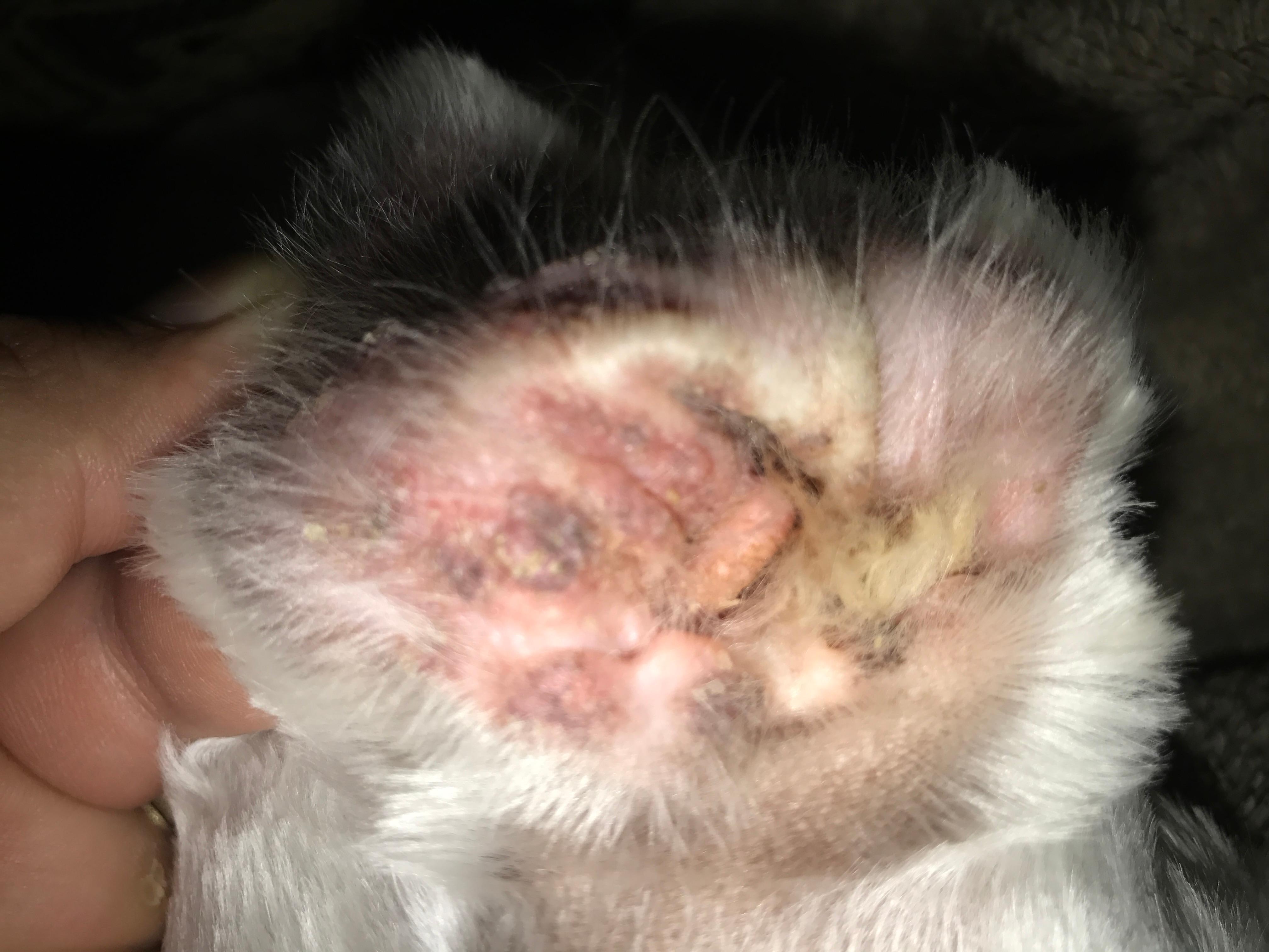 Question details sensitive content