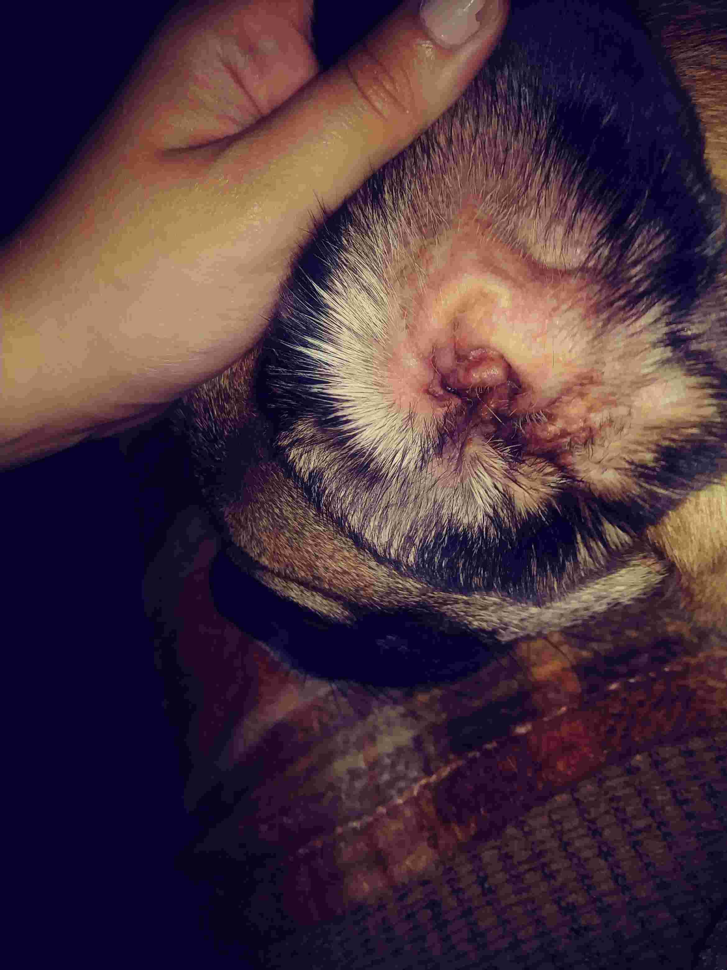 Question details sensitive content