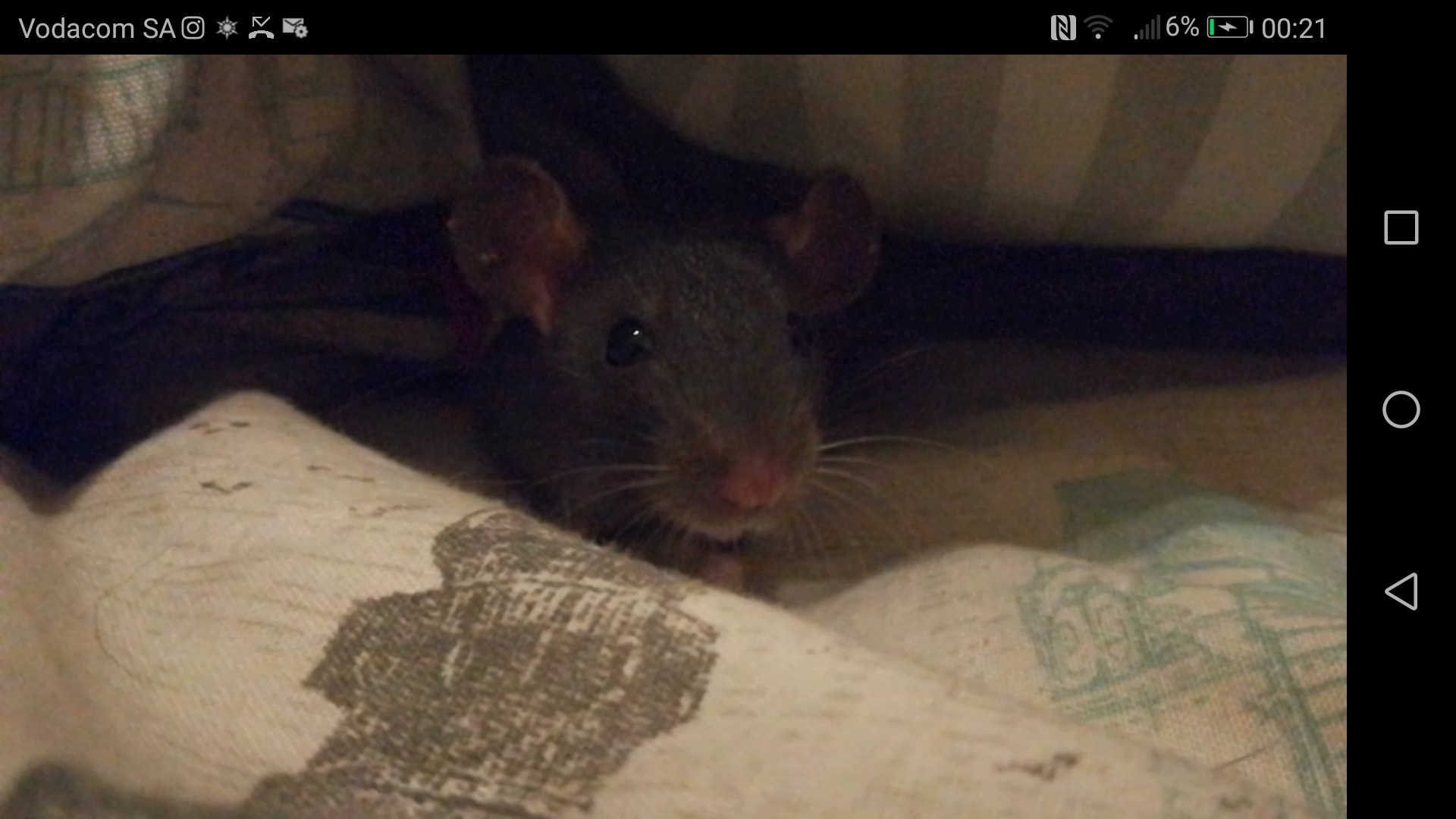 Question details sensitive content