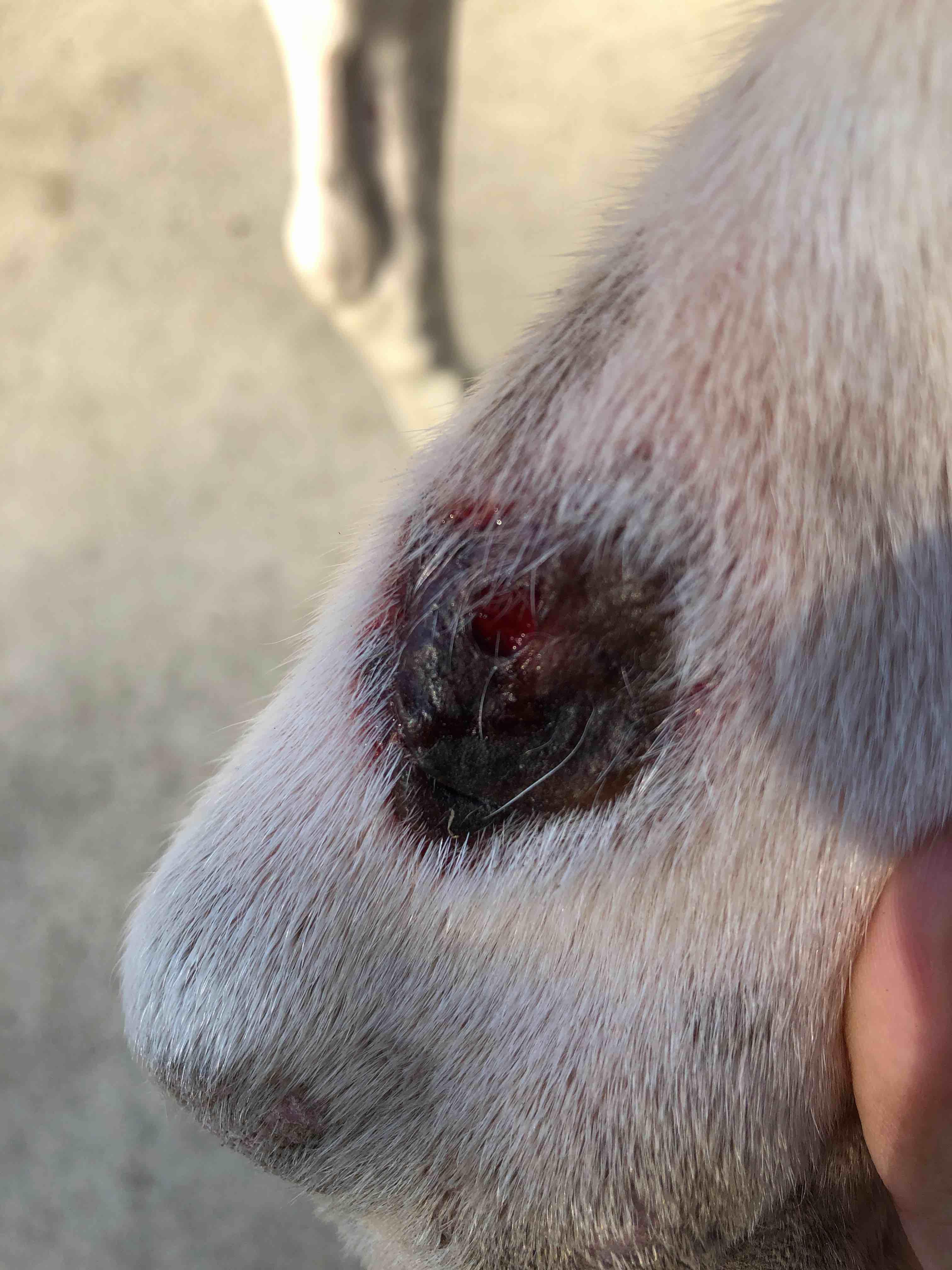 Question details sensitive content