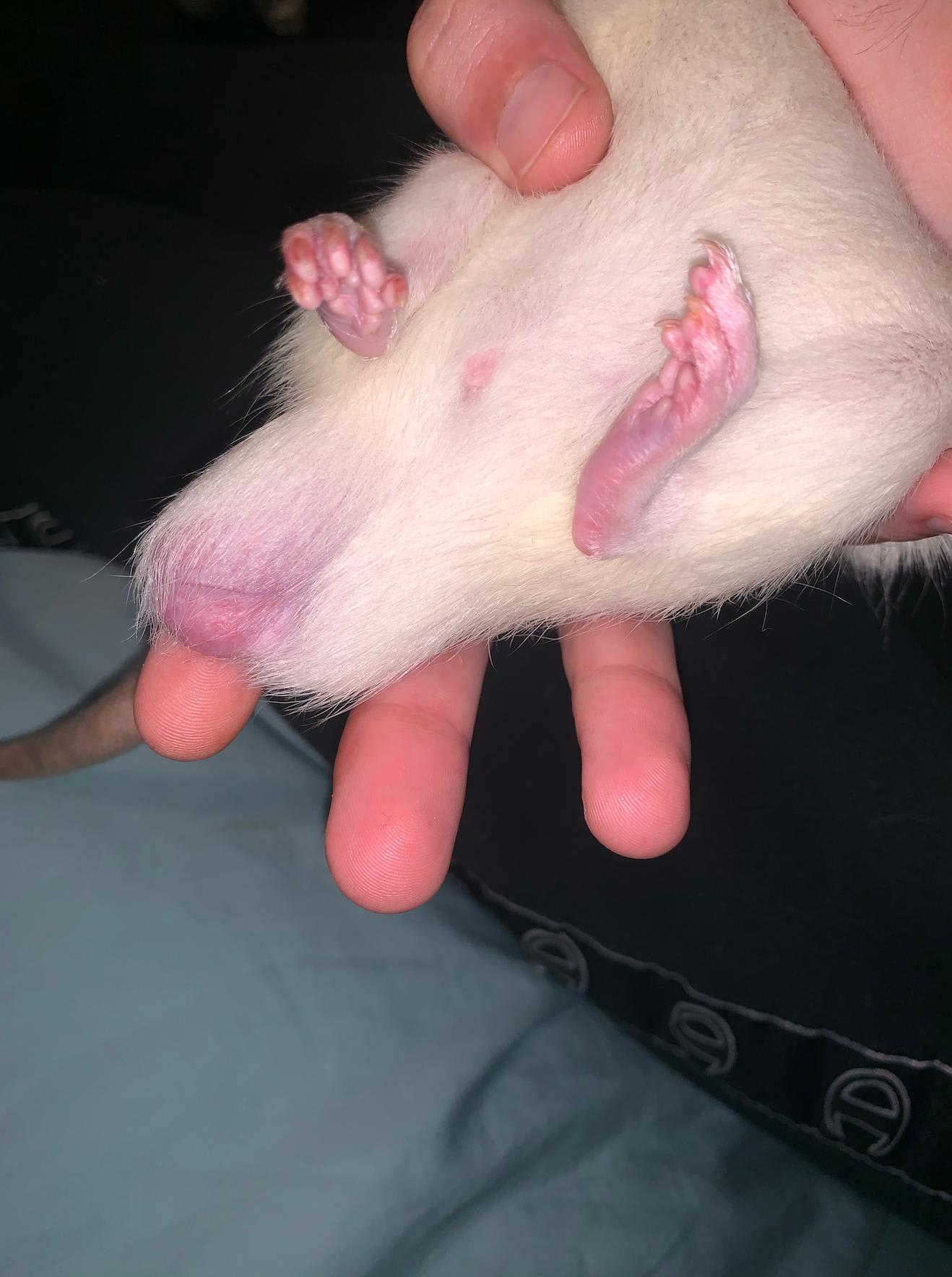 Question details sensitive content