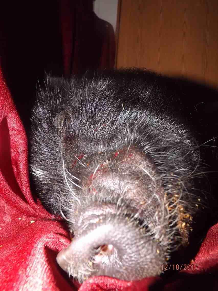 Question details sensitive content