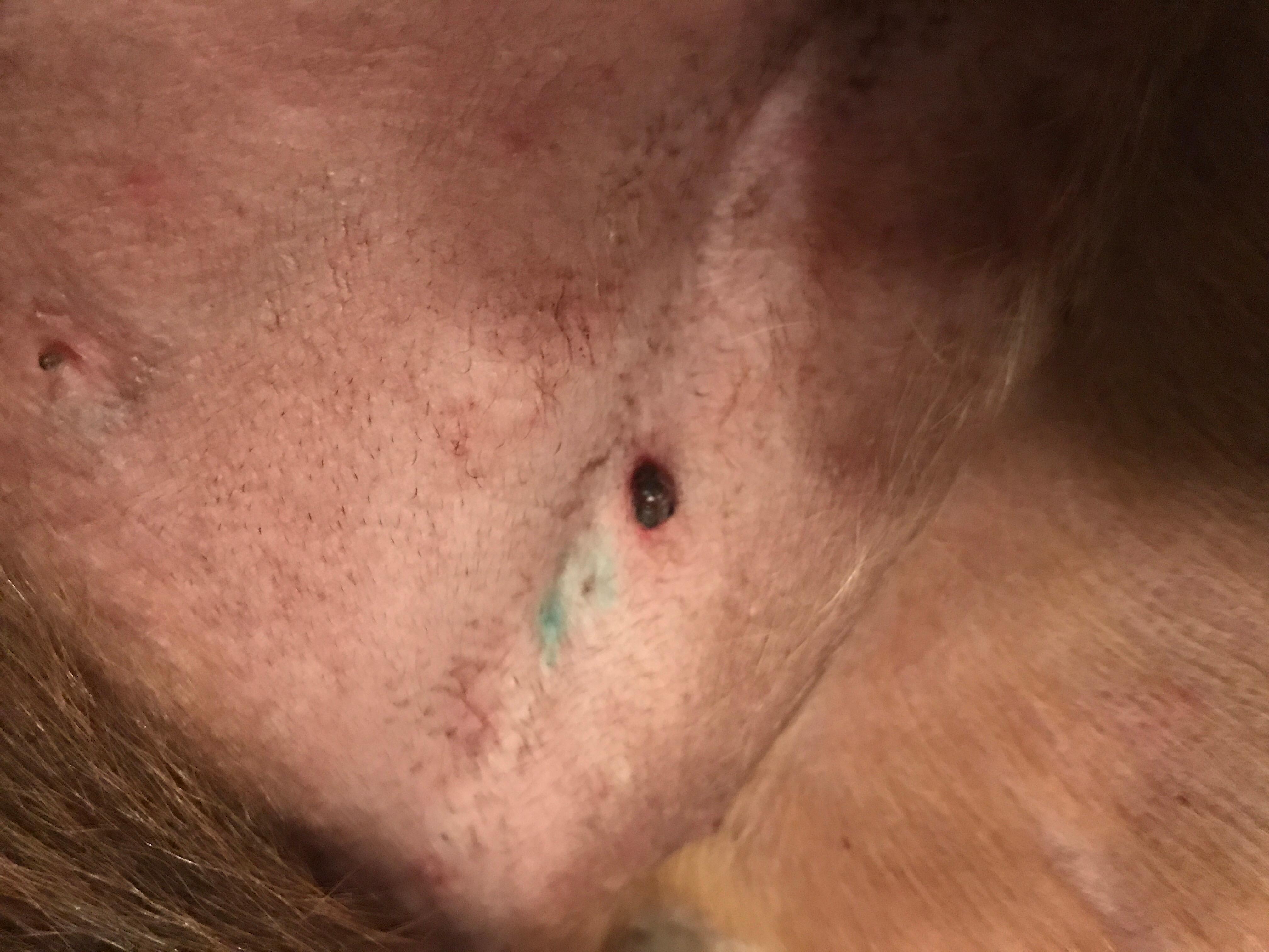 Question details sensitive content