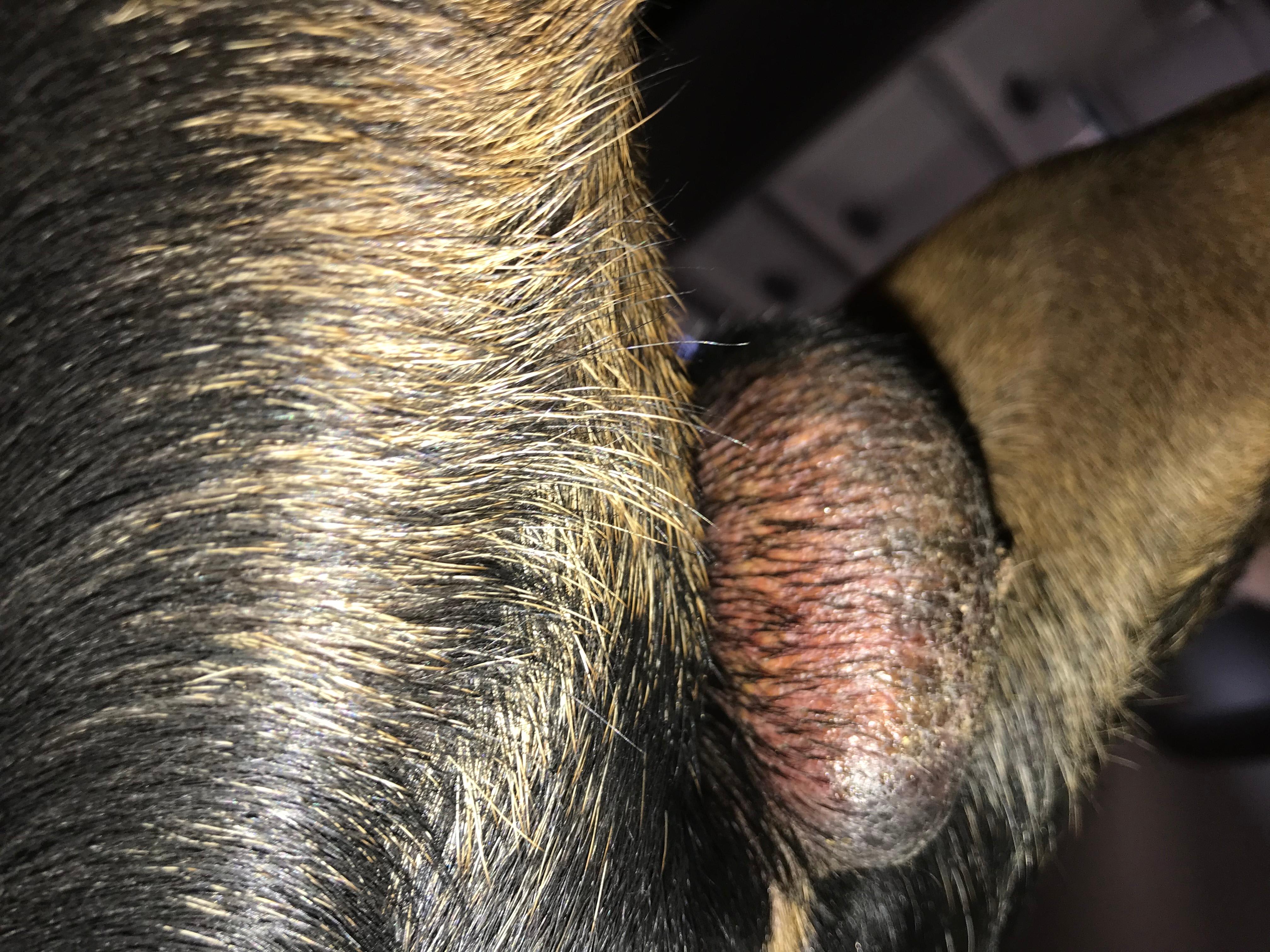 Question details sensitive content