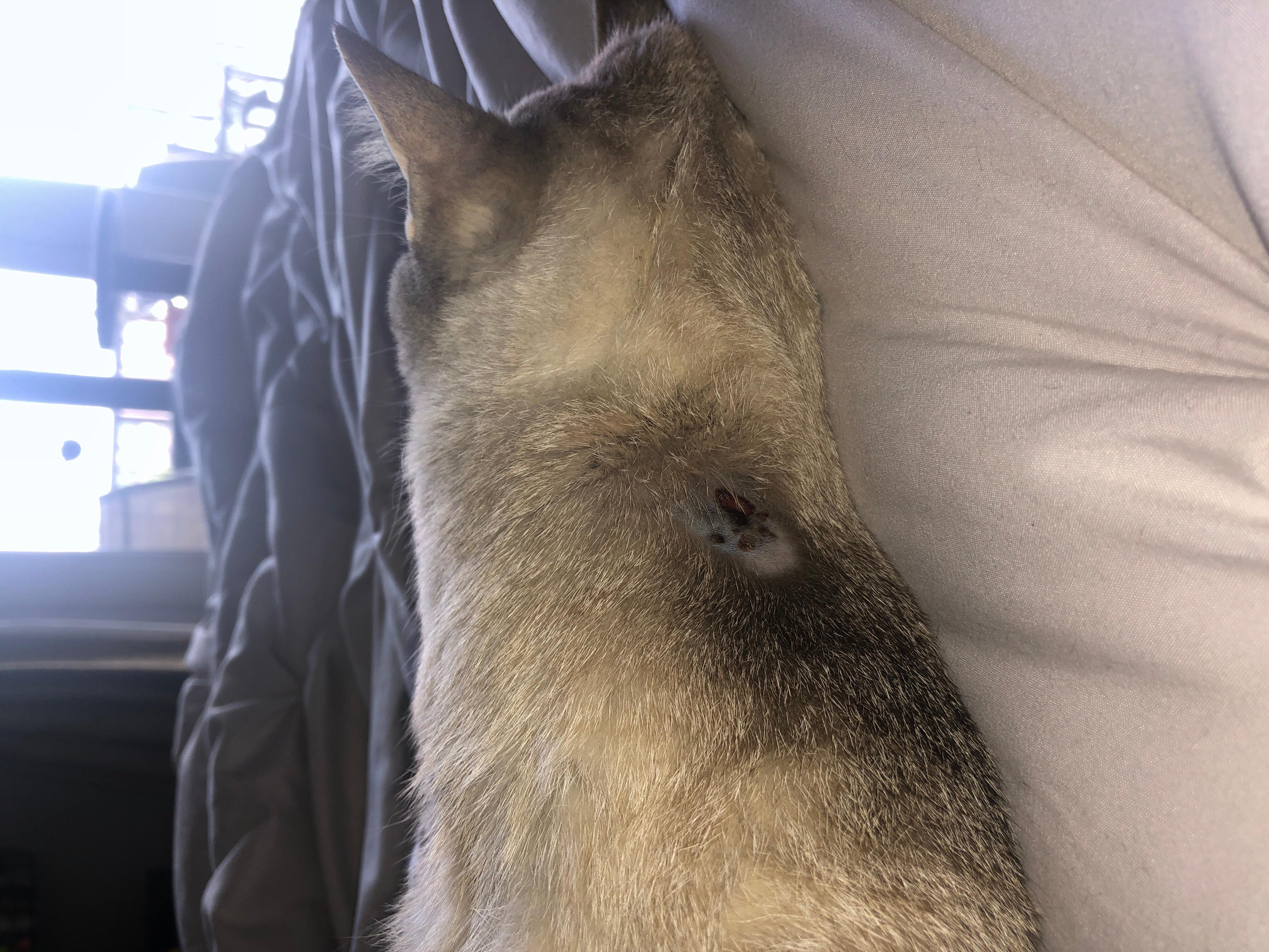 Question details sensitive content