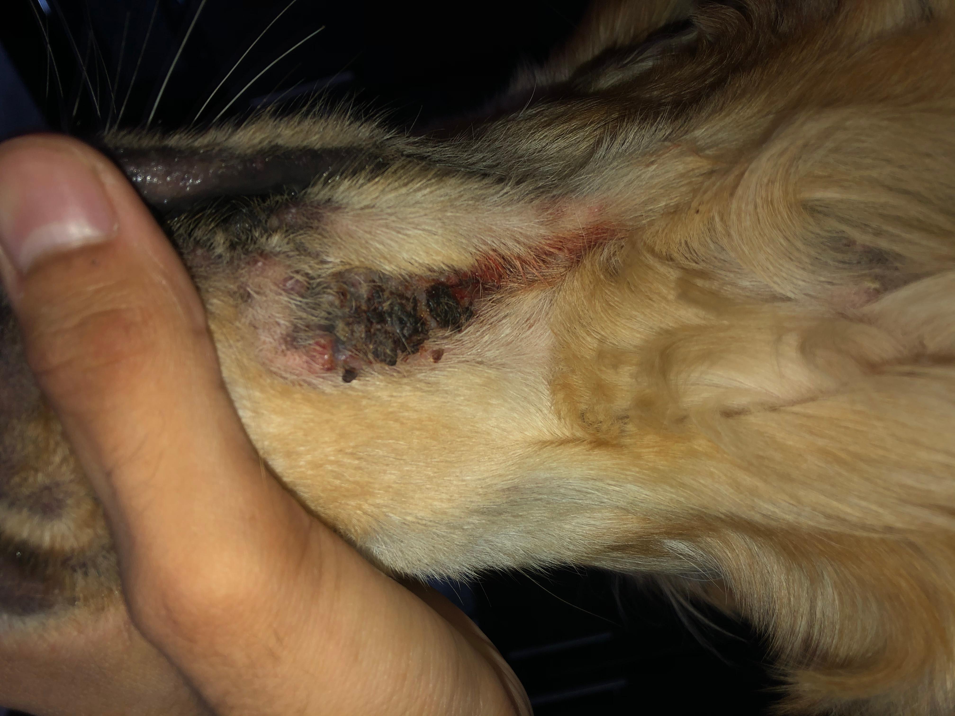 Question details sensitive content