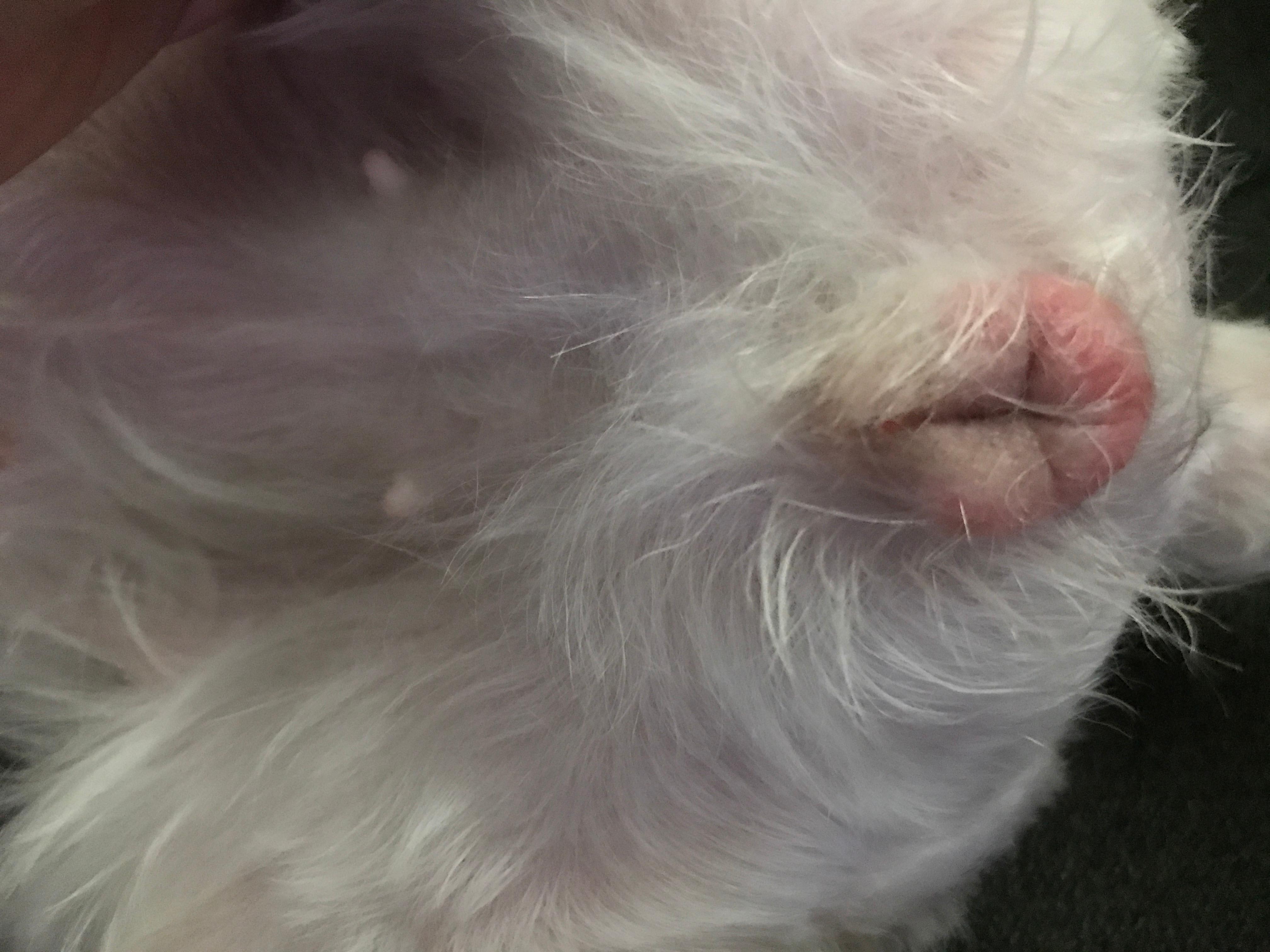 Question details sensitive content