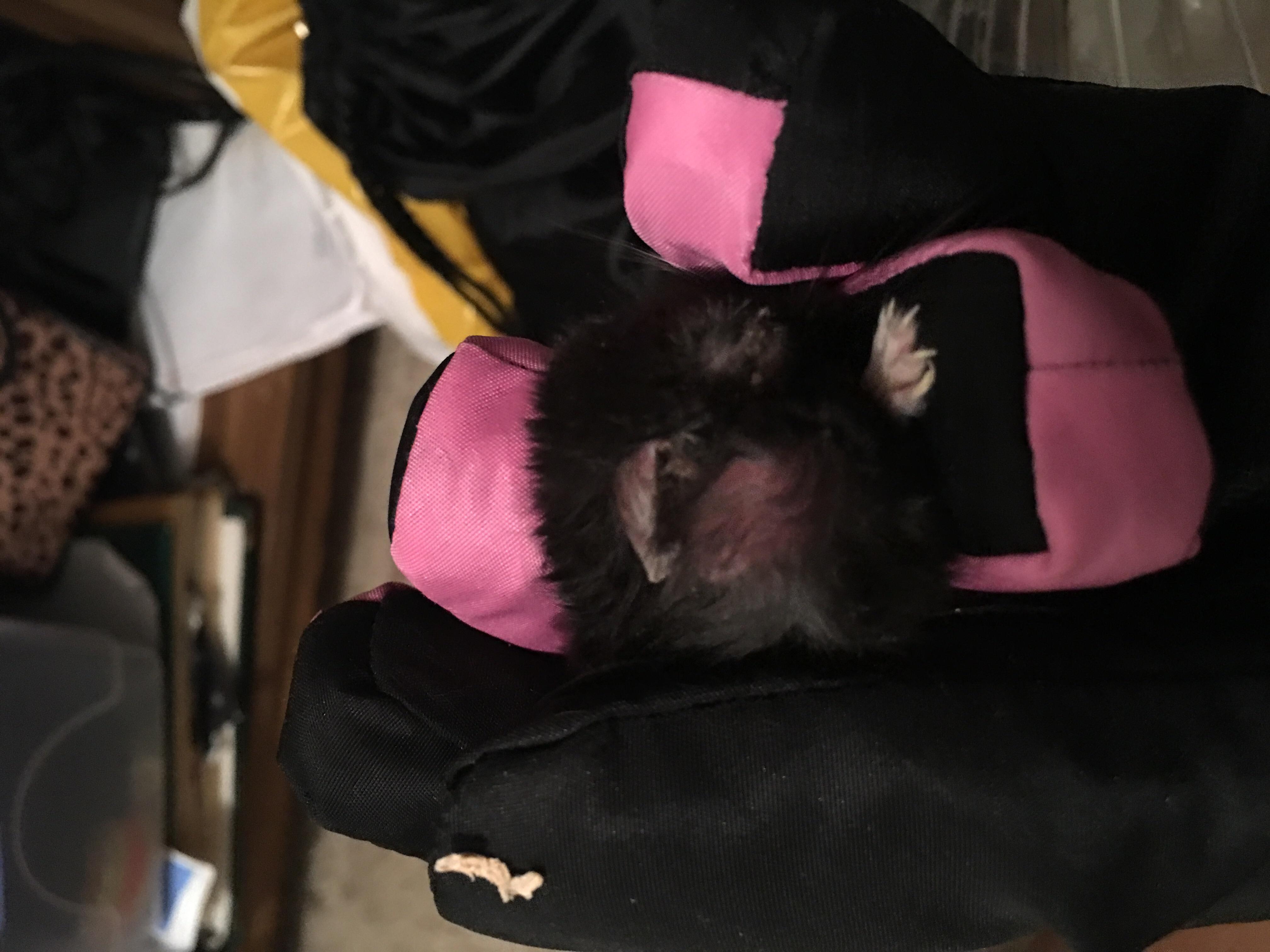 Question details sensitive content